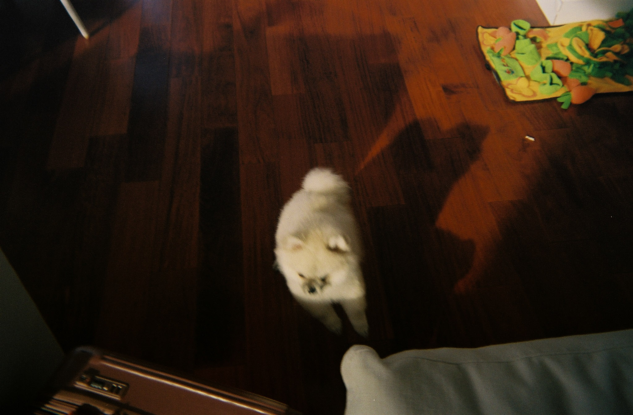 Dec 2022: LA thumbnail 1