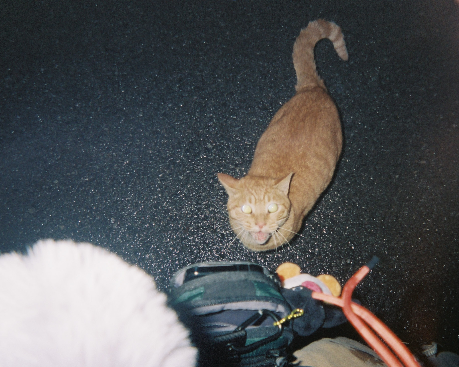 Dec 2022: Seoul & Pyeongchang thumbnail 4