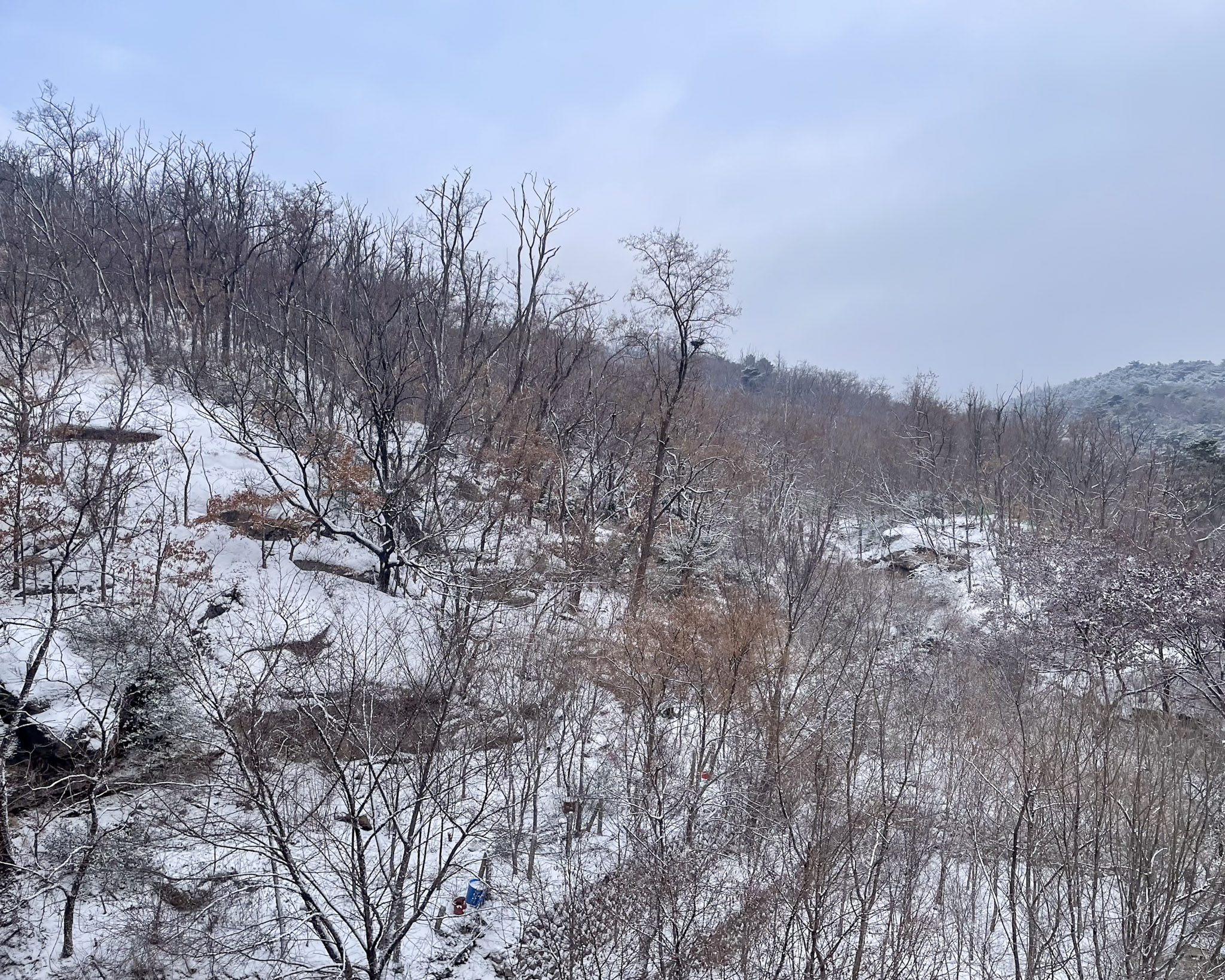 Dec 2022: Seoul & Pyeongchang thumbnail 3