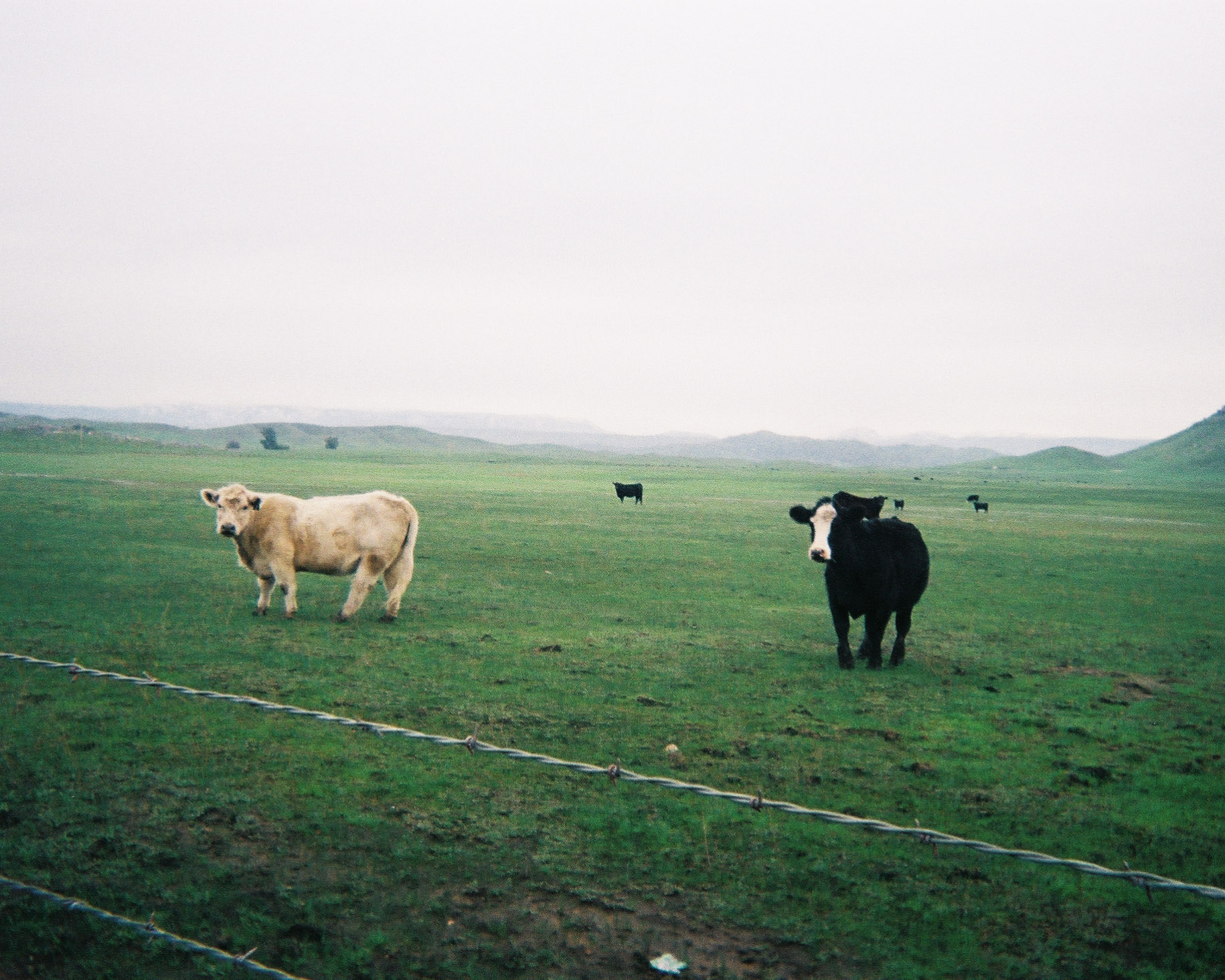 Jan 2023: Yosemite Road Trip thumbnail 2