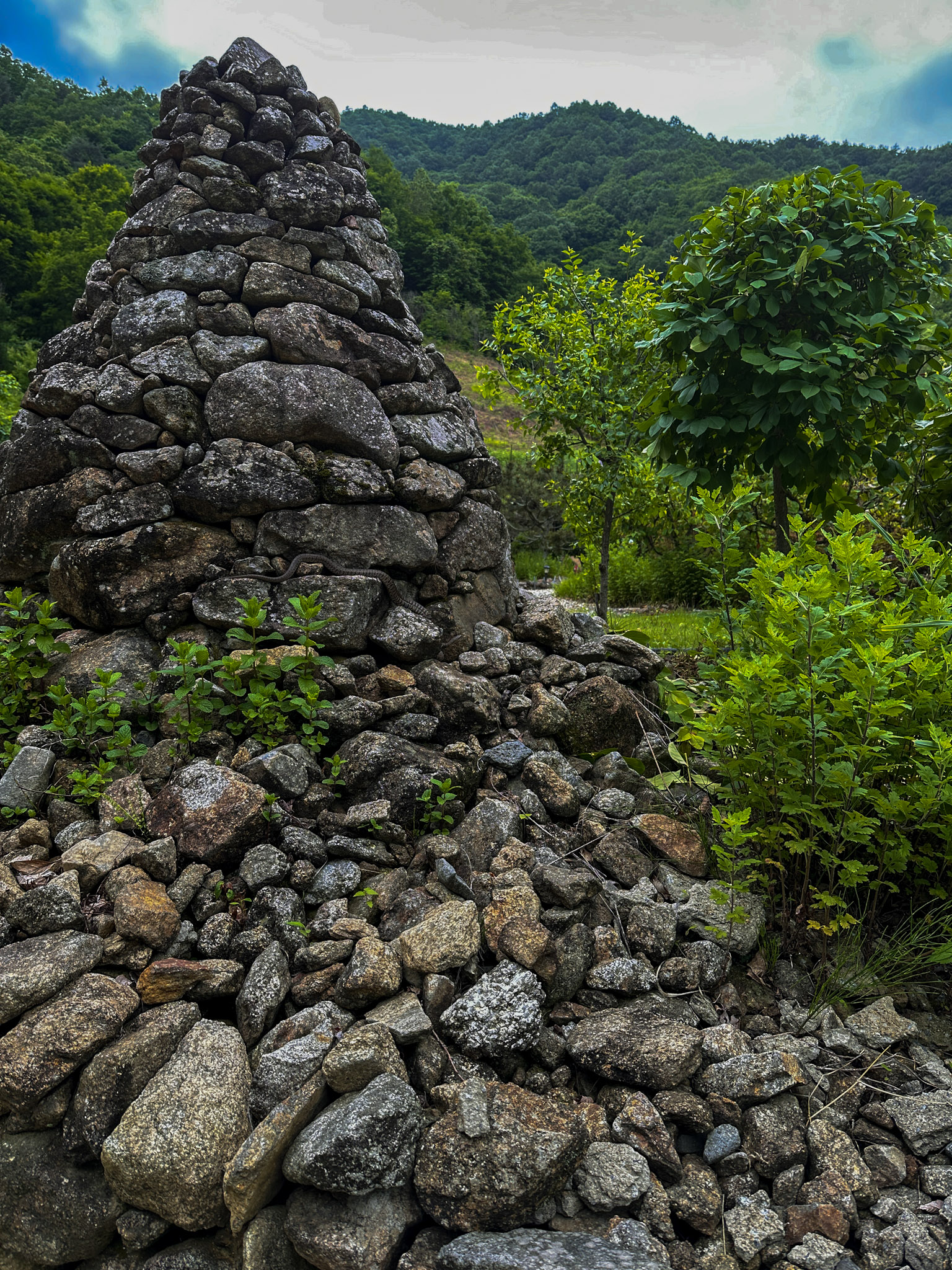 May 2023: Seoul, Buyeo & Jirisan thumbnail 7