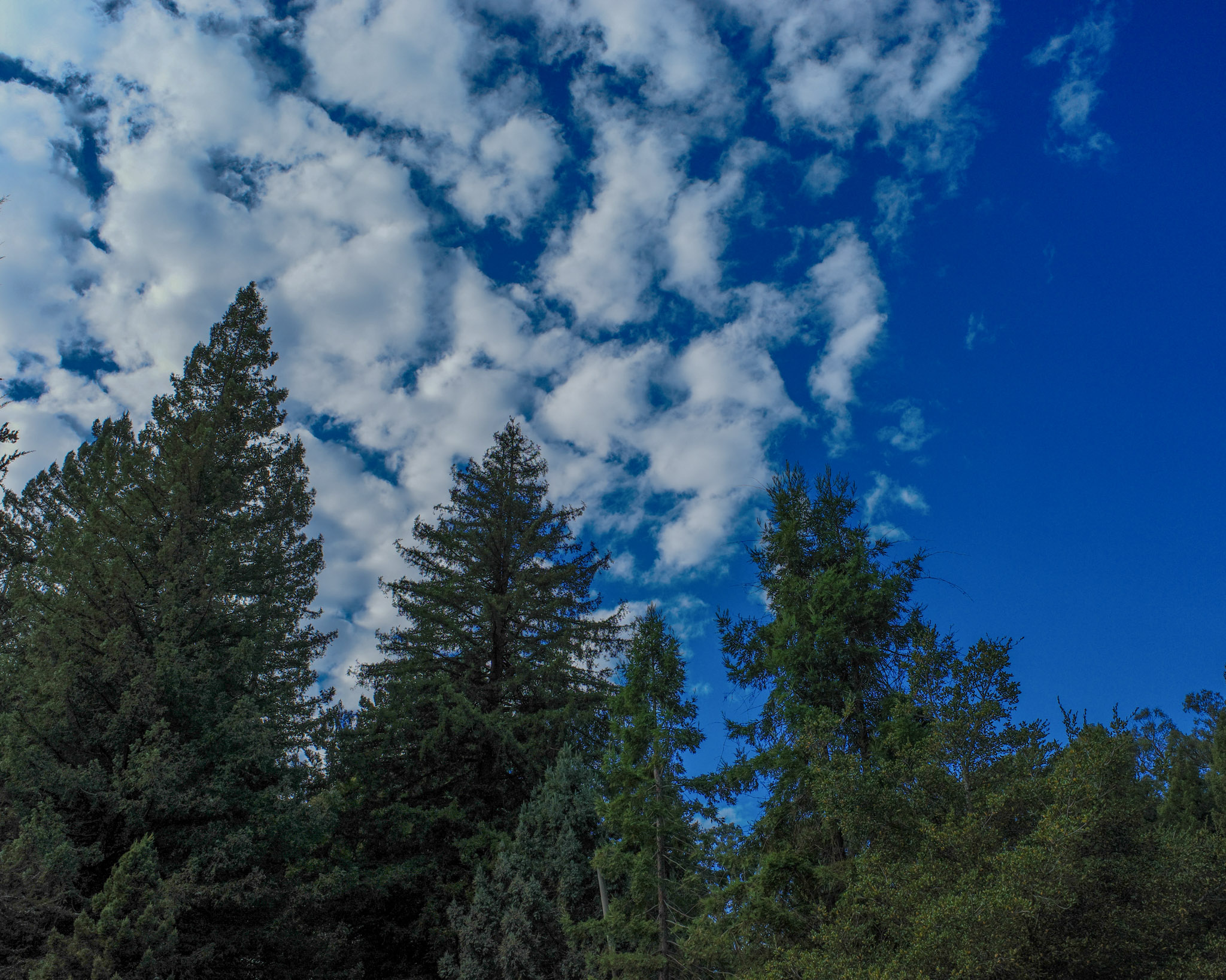 Jan 2024: Berkeley thumbnail 2