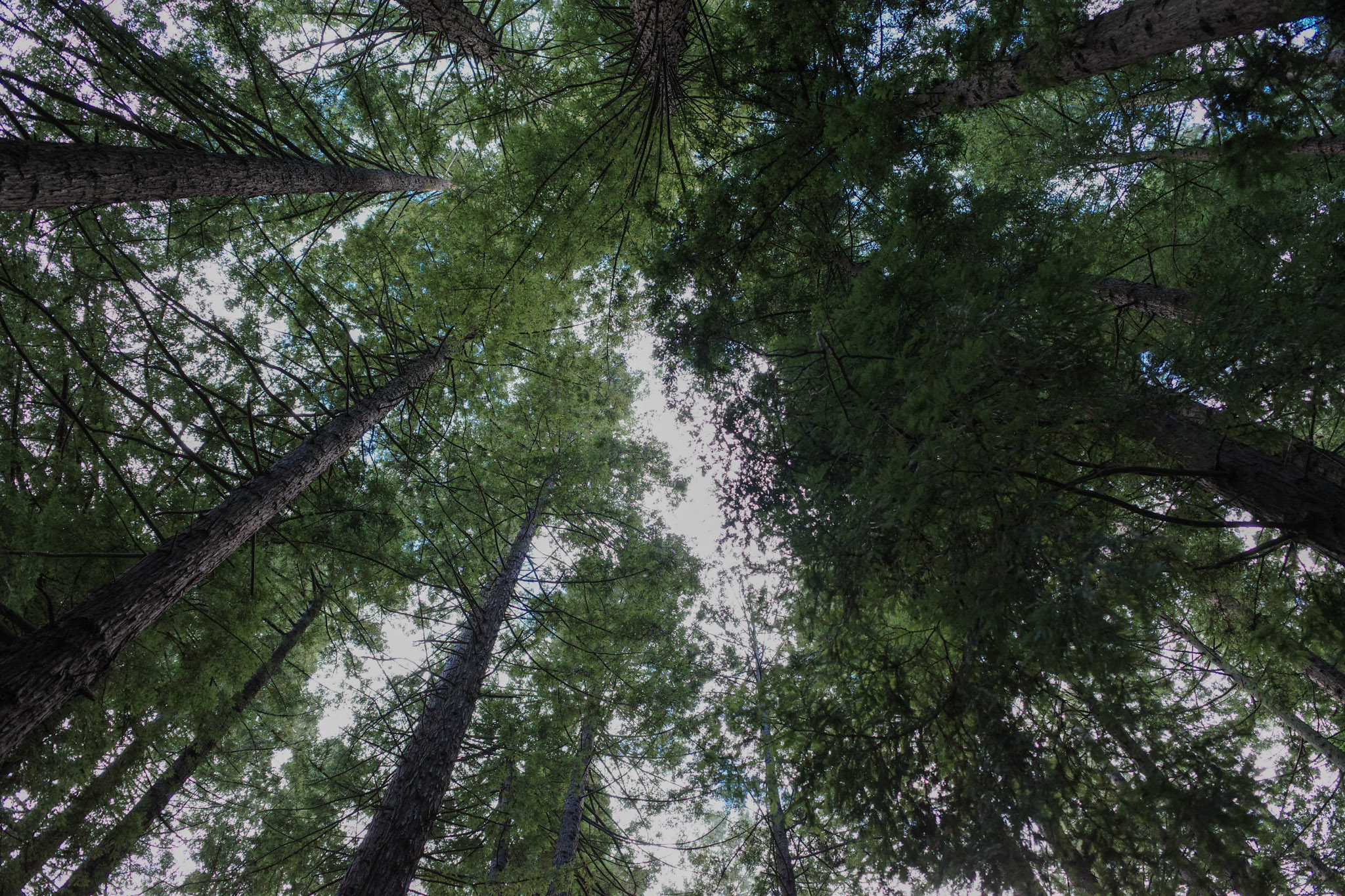 Jan 2024: Berkeley thumbnail 3