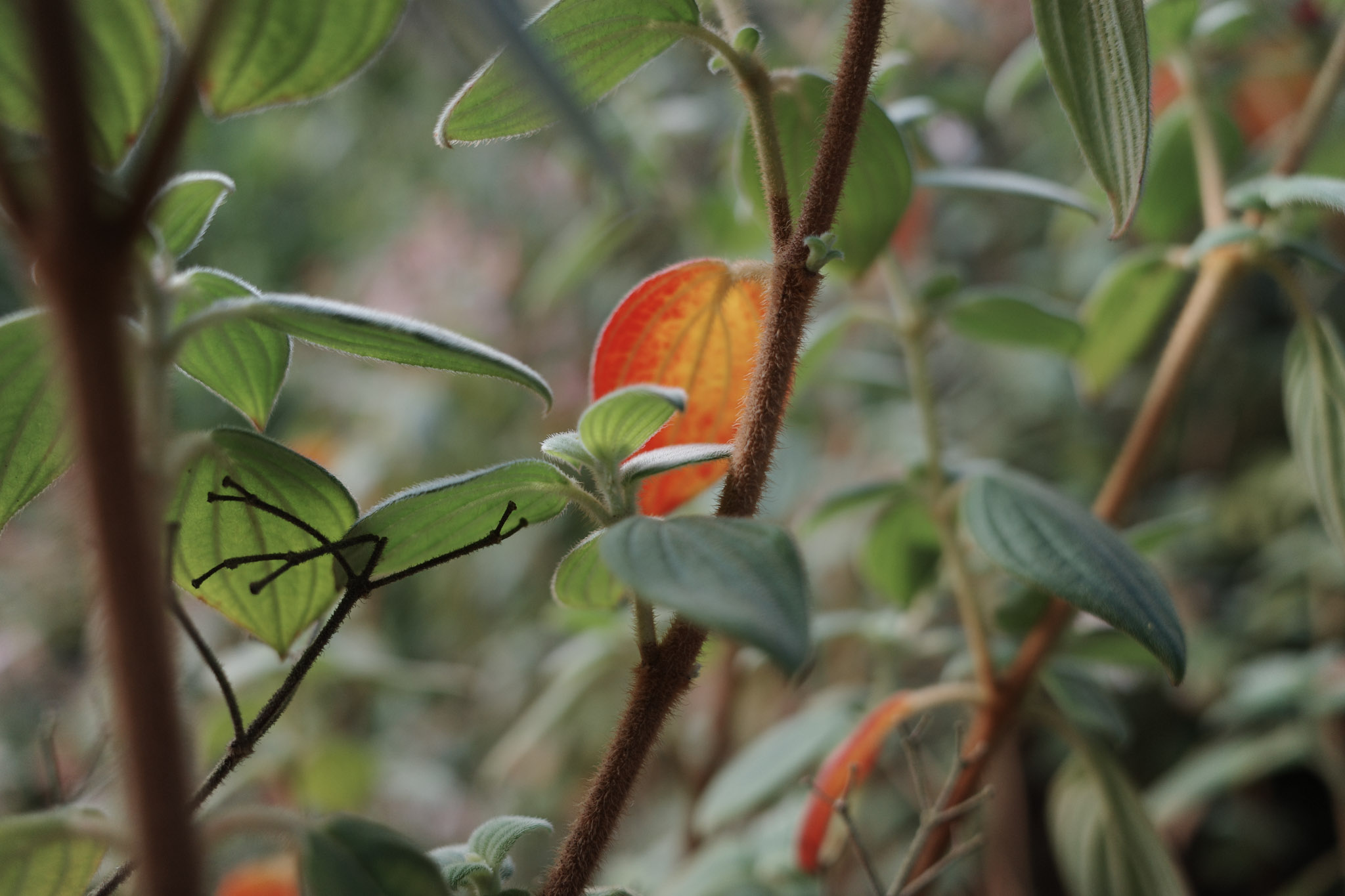 Jan 2024: Berkeley thumbnail 1