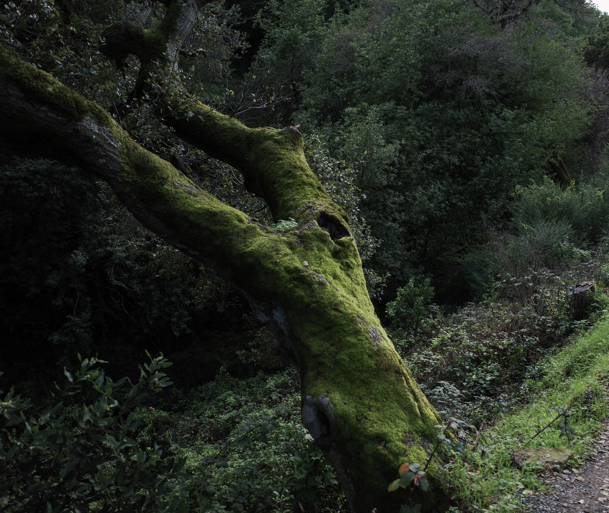 Jan 2024: Berkeley thumbnail 4