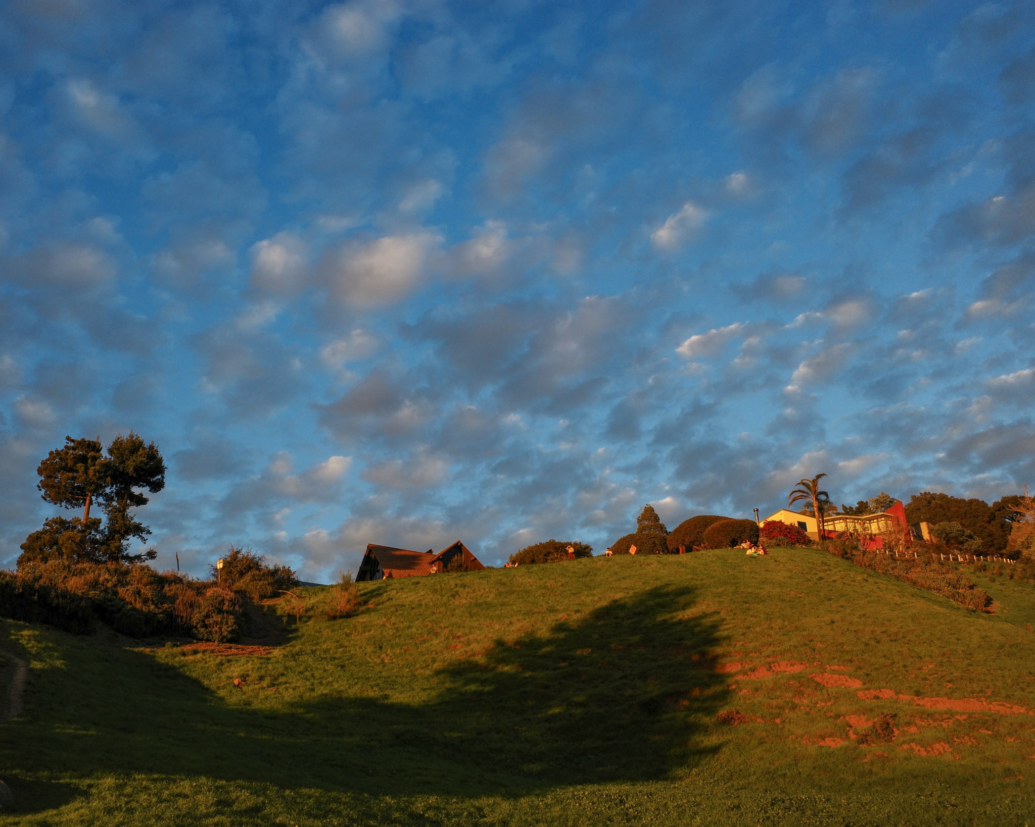 Jan 2024: Berkeley thumbnail 5