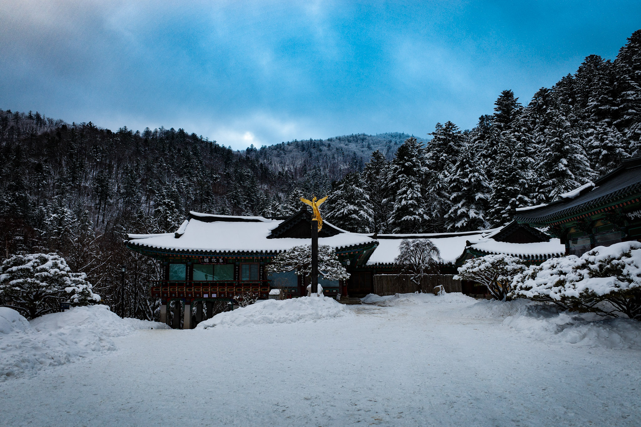 Jan 2024: Seoul thumbnail 1