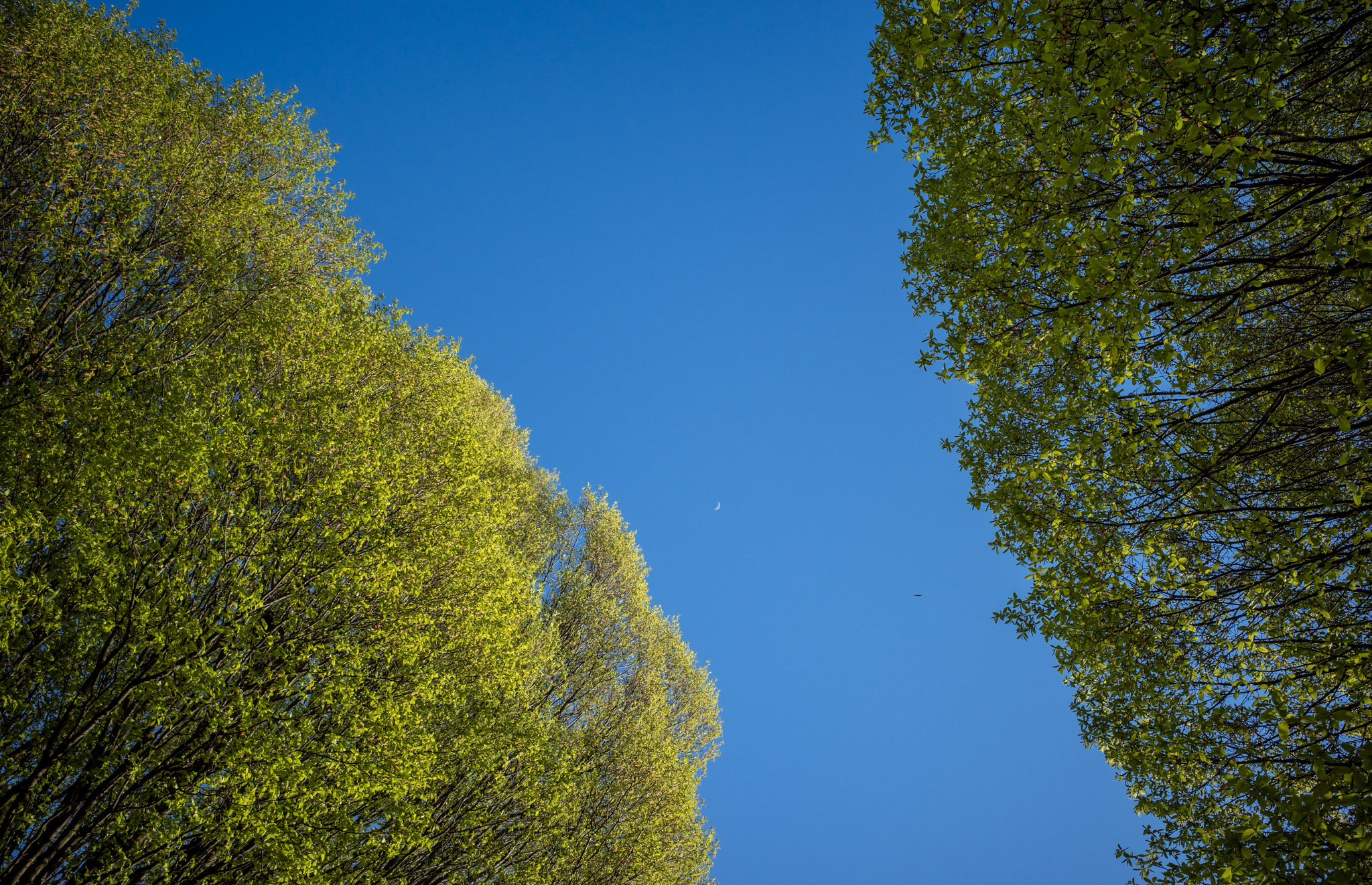 Mar 2024: Seattle & Vancouver thumbnail 4