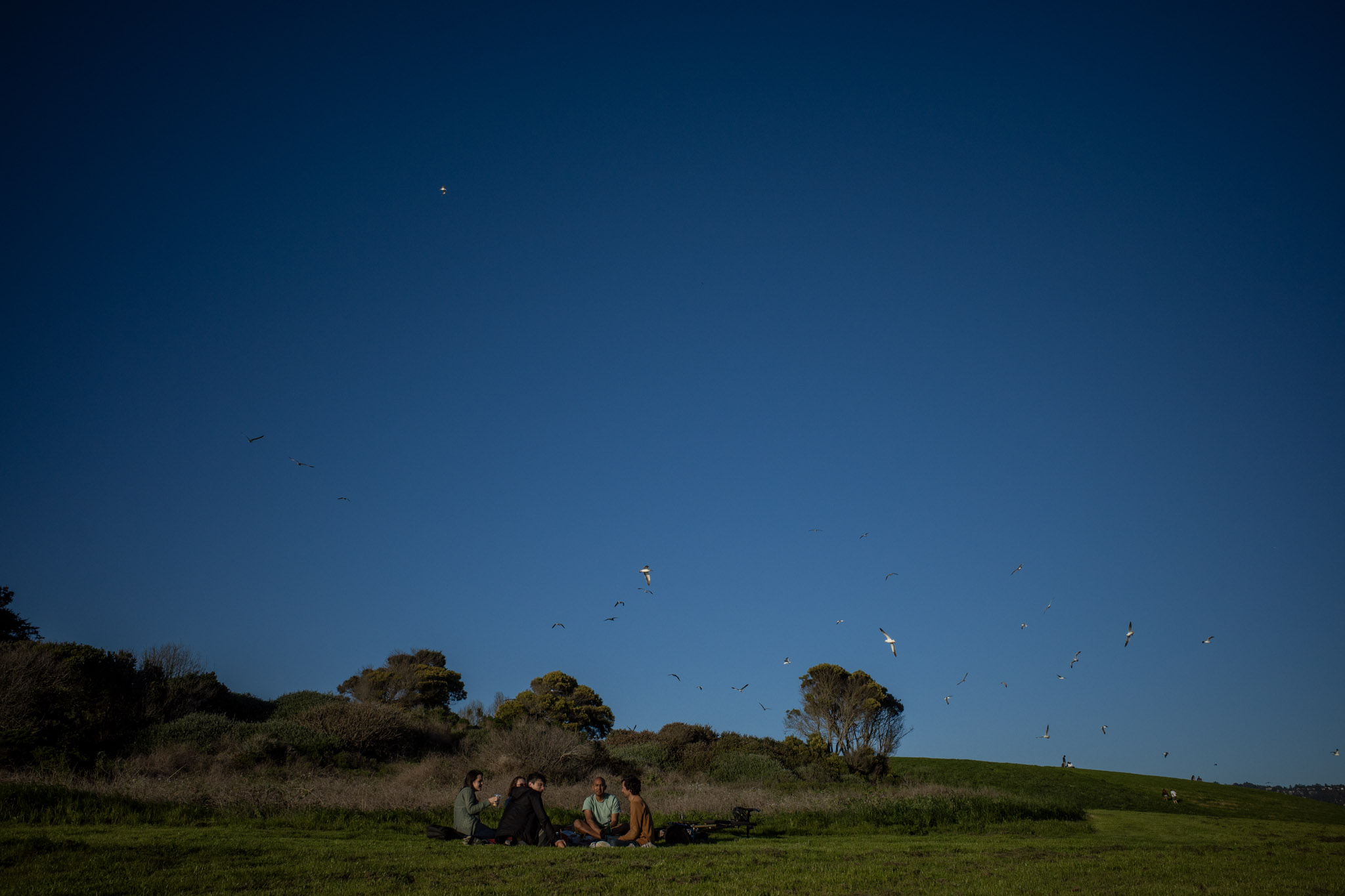 Apr 2024: Berkeley & San Francisco thumbnail 8