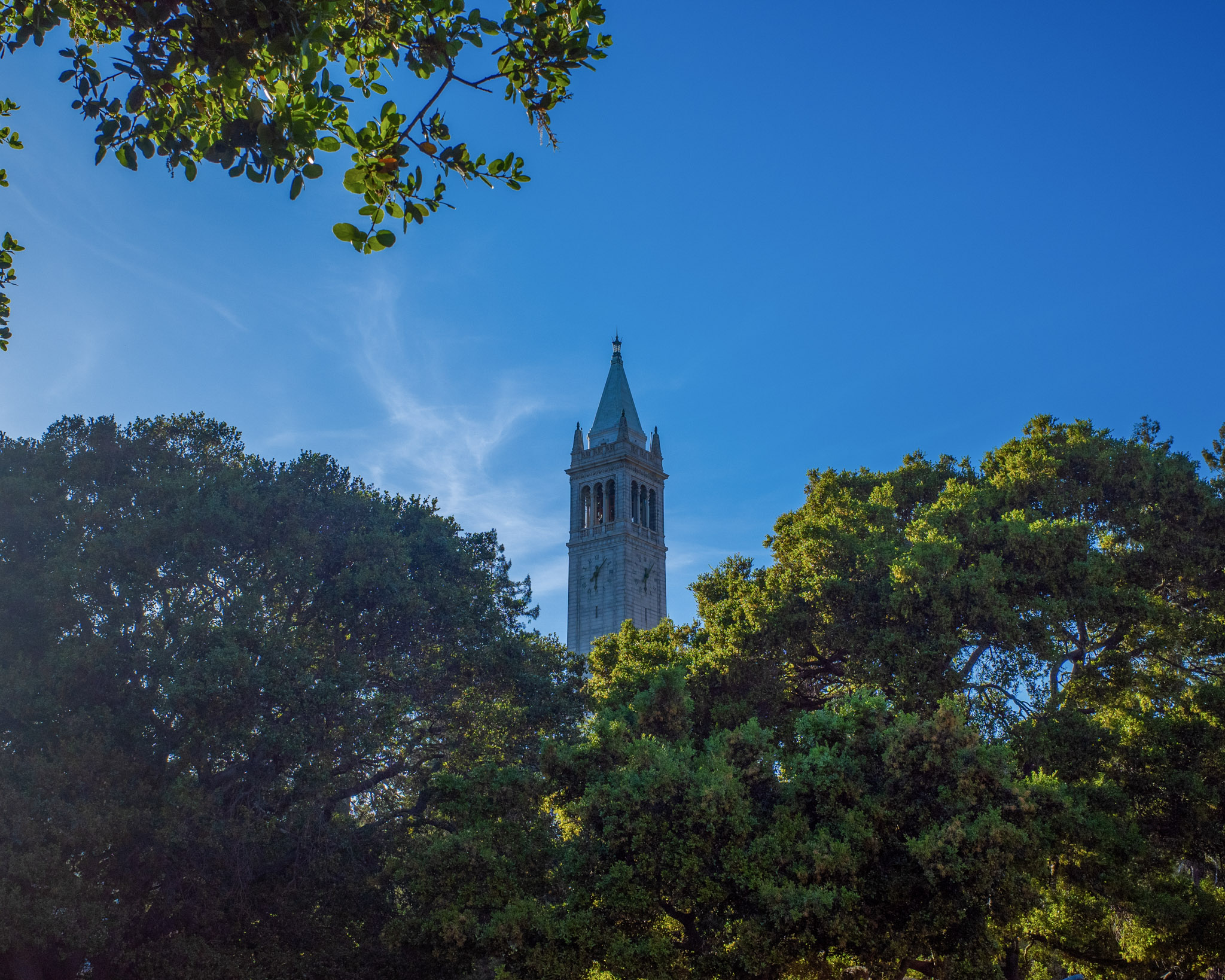 Apr 2024: Berkeley & San Francisco thumbnail 16