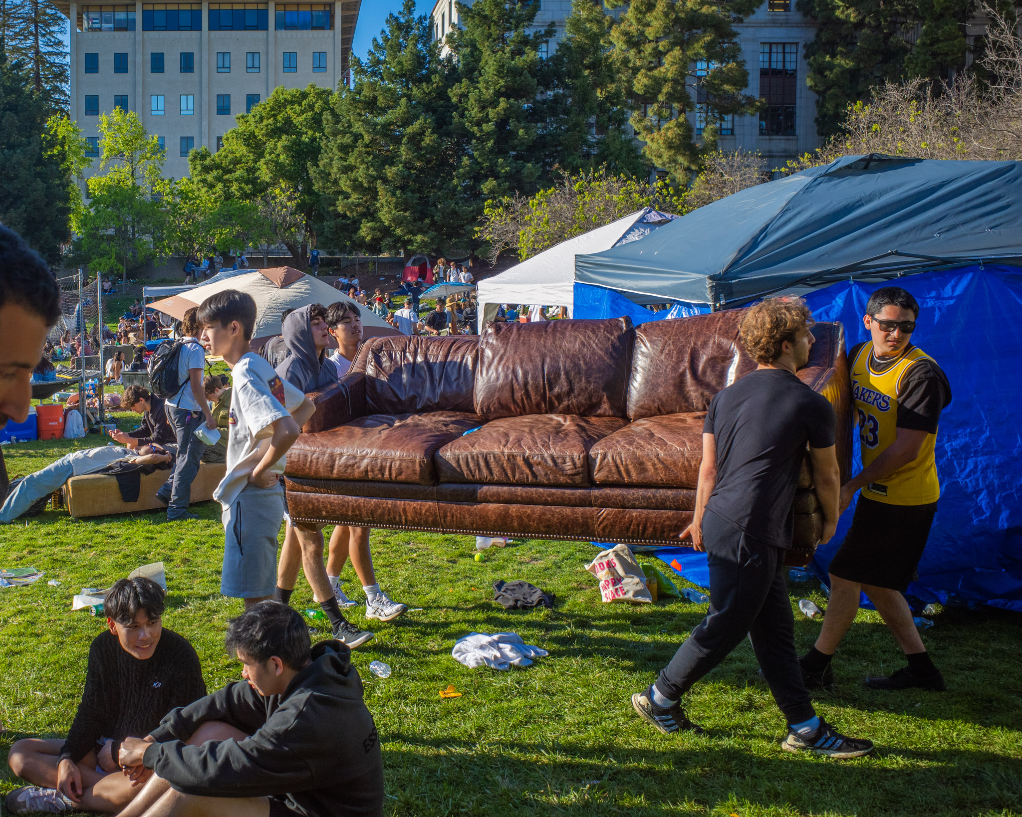 Apr 2024: Berkeley & San Francisco thumbnail 6