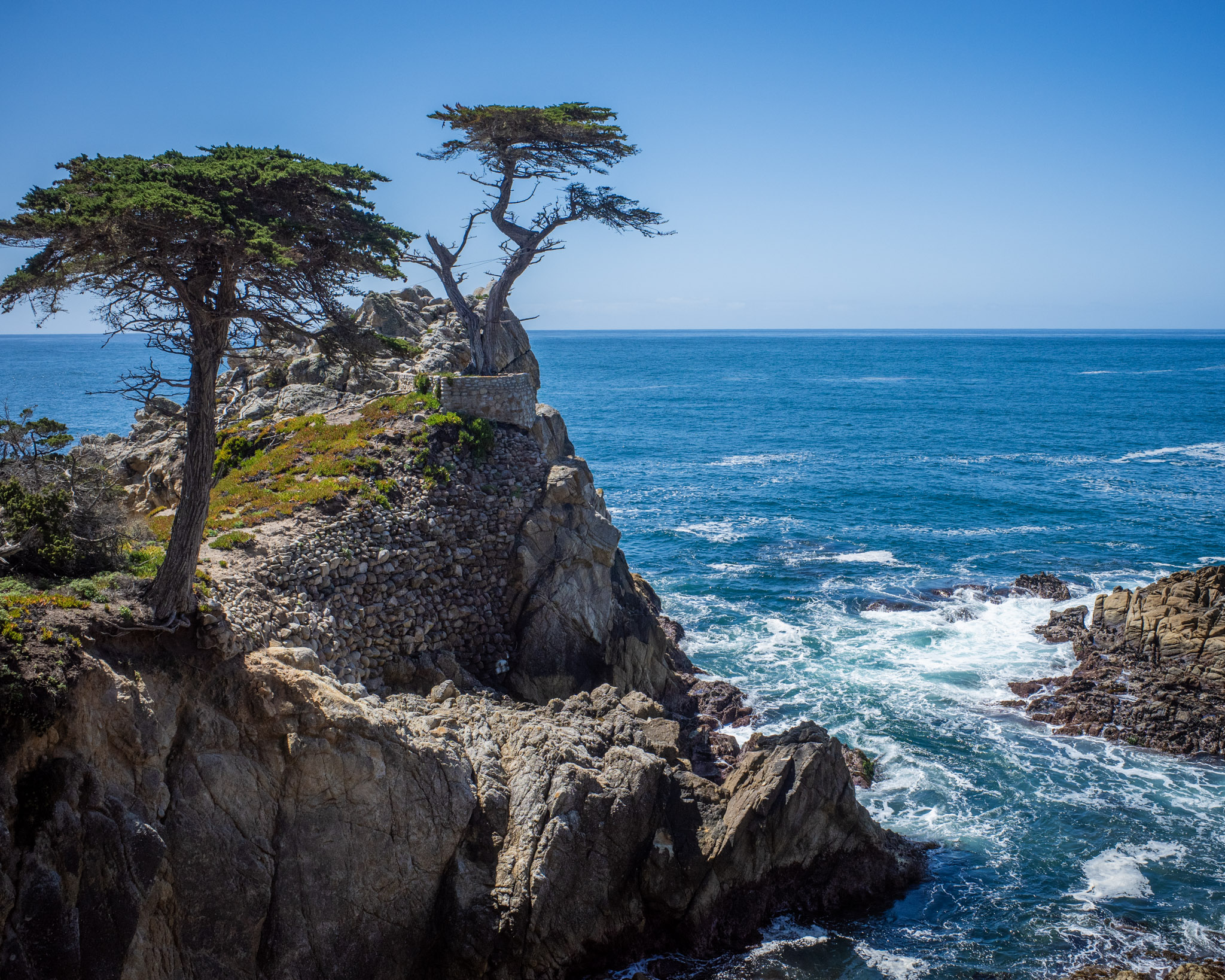 Apr 2024: Berkeley & San Francisco thumbnail 13