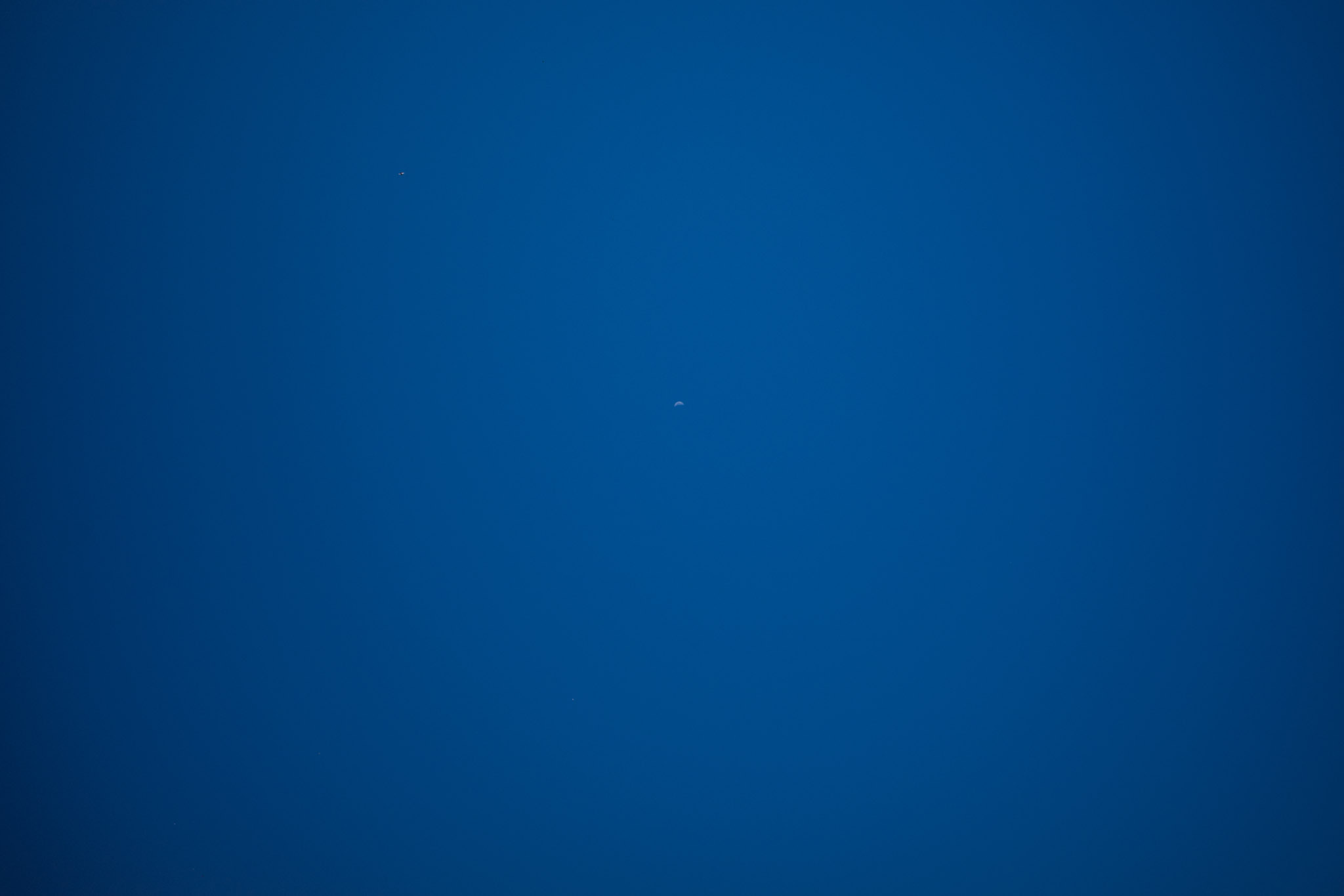 Apr 2024: Berkeley & San Francisco thumbnail 4