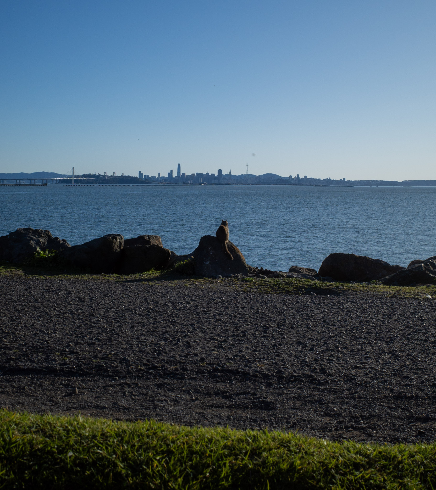 Apr 2024: Berkeley & San Francisco thumbnail 7