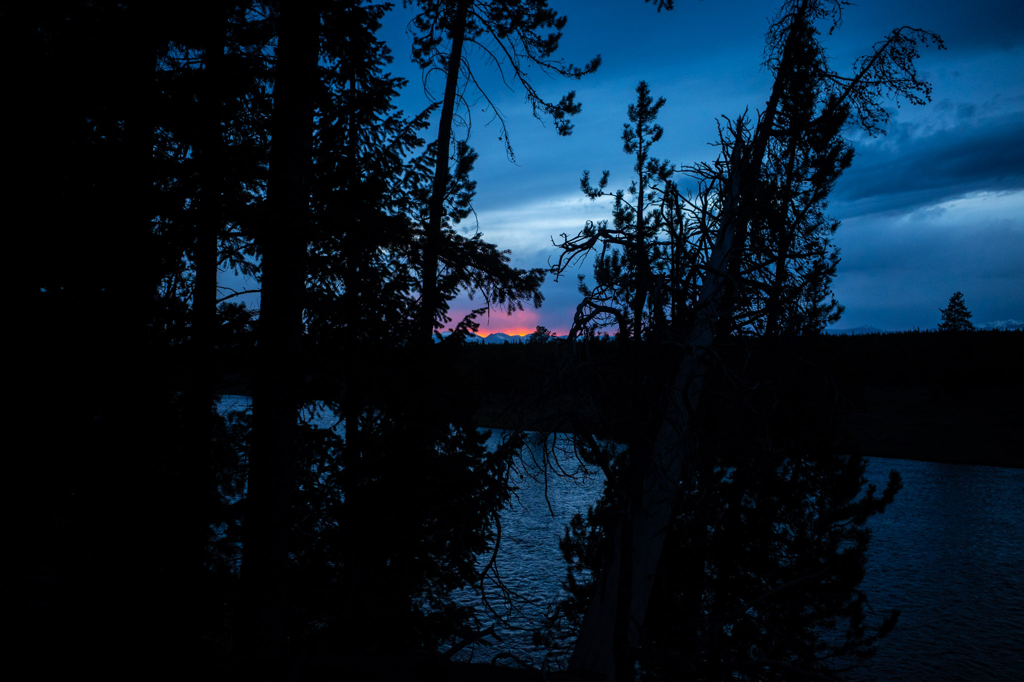 May 2024: Yellowstone thumbnail 6