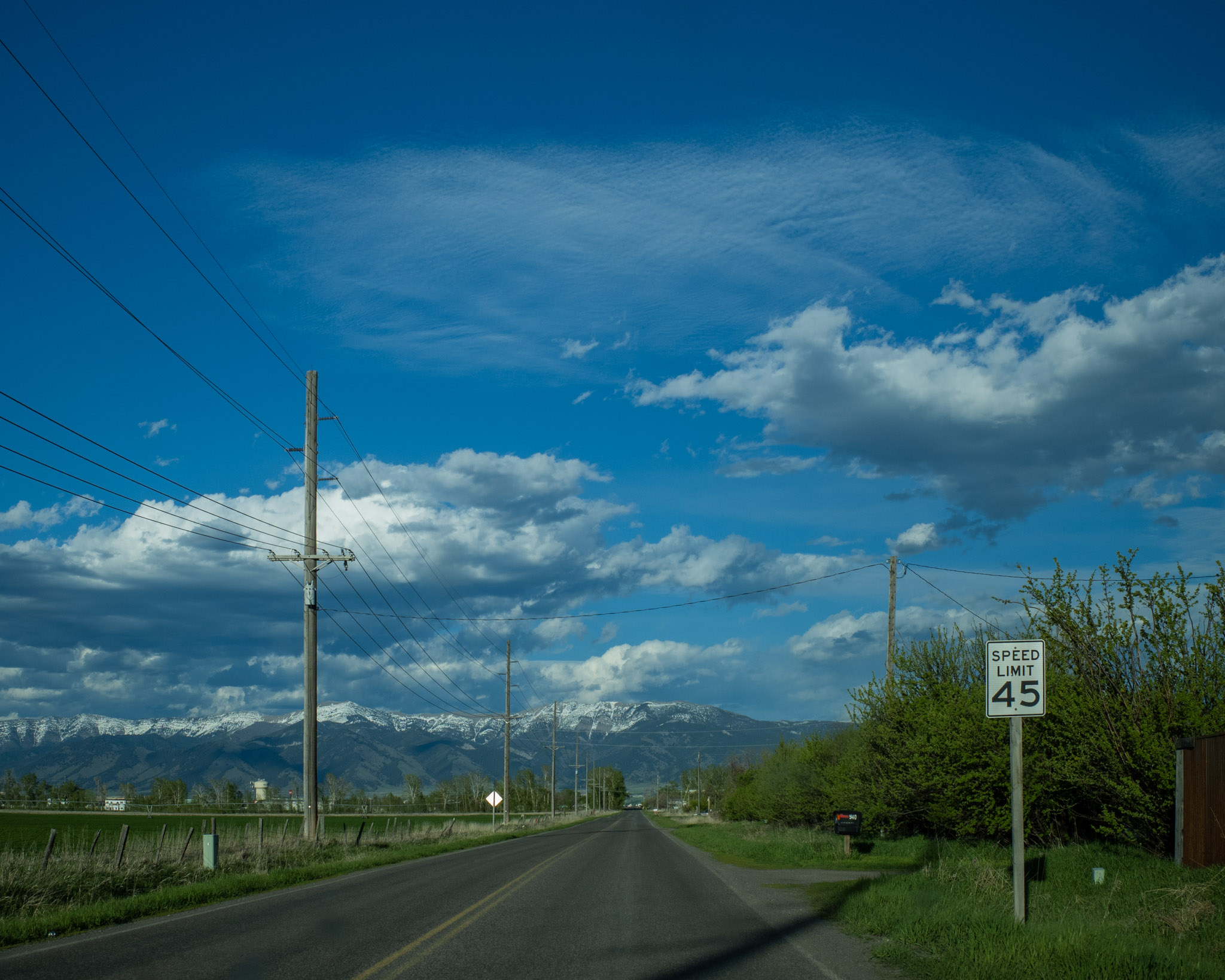 May 2024: Yellowstone thumbnail 5