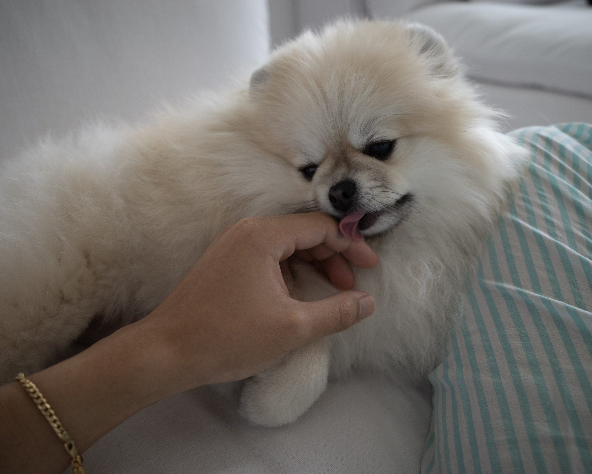 Jun 2024: Berkeley & LA thumbnail 3