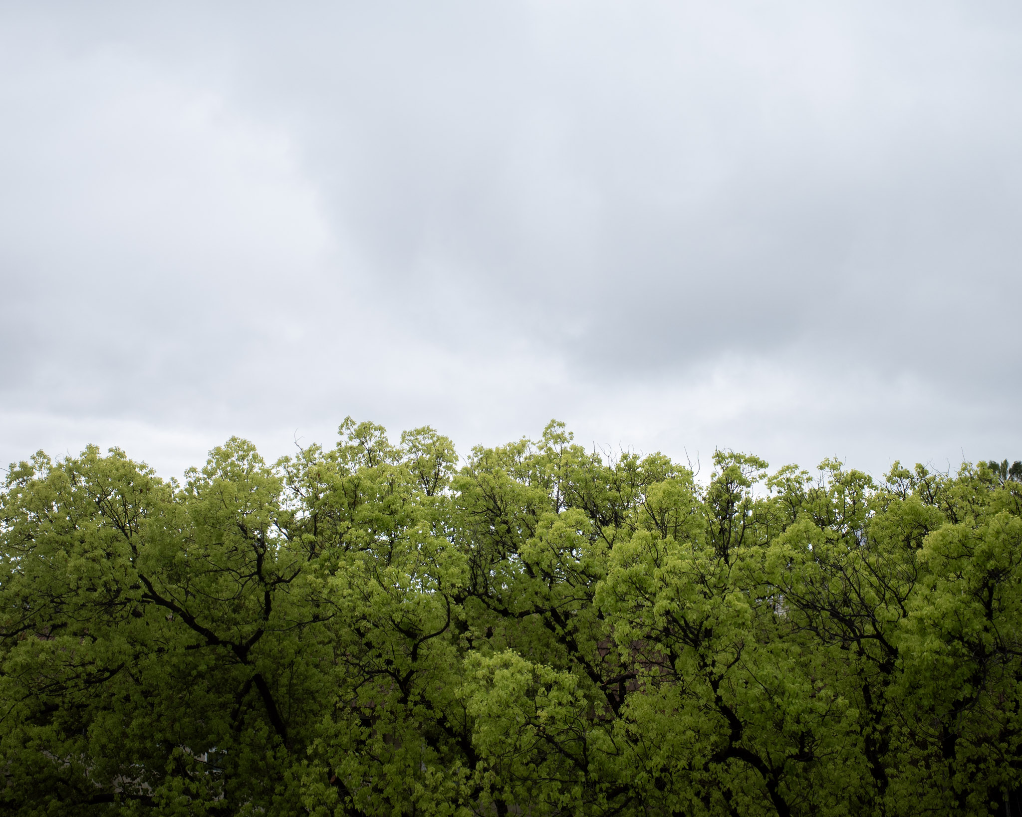 Jun 2024: Berkeley & LA thumbnail 2