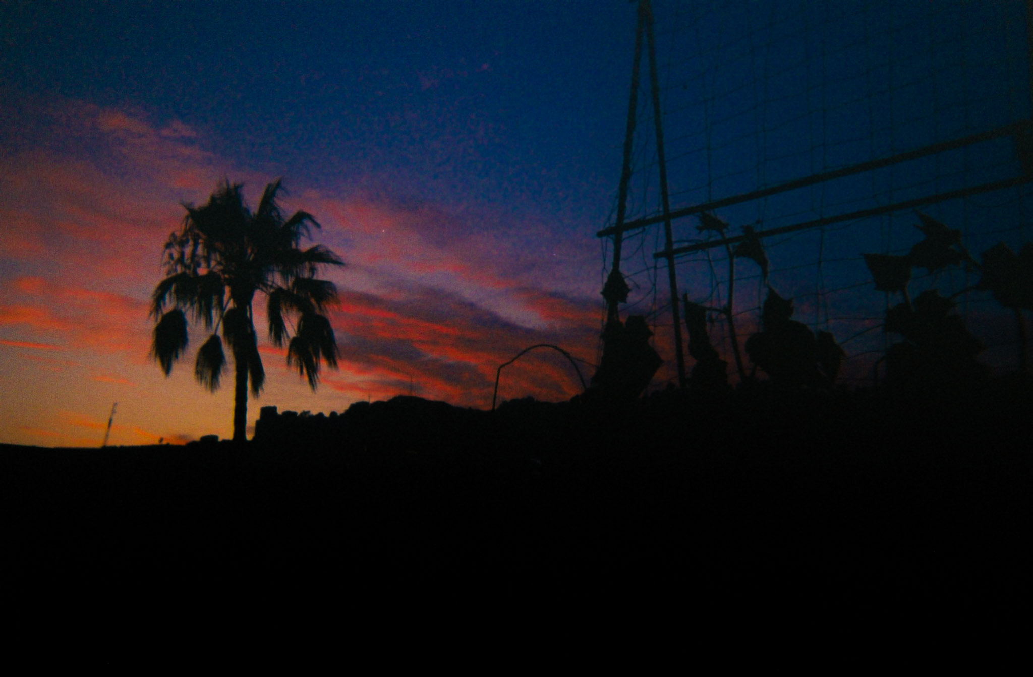 Jun 2024: Berkeley & LA thumbnail 1