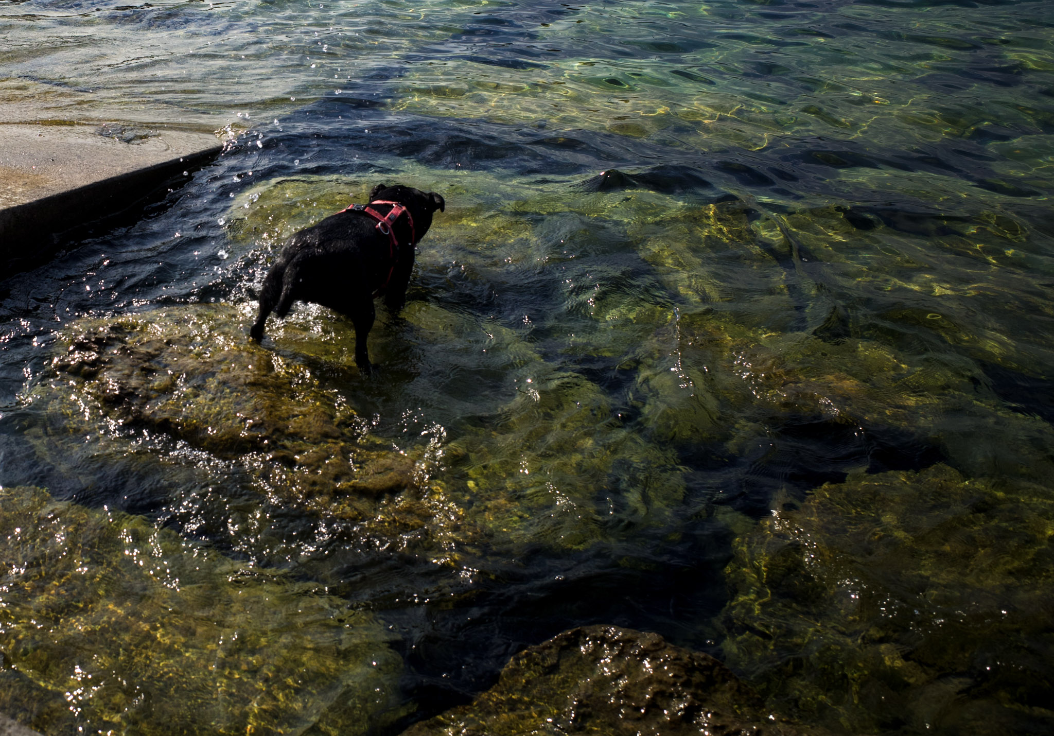 Jul 2024: Geneva thumbnail 5