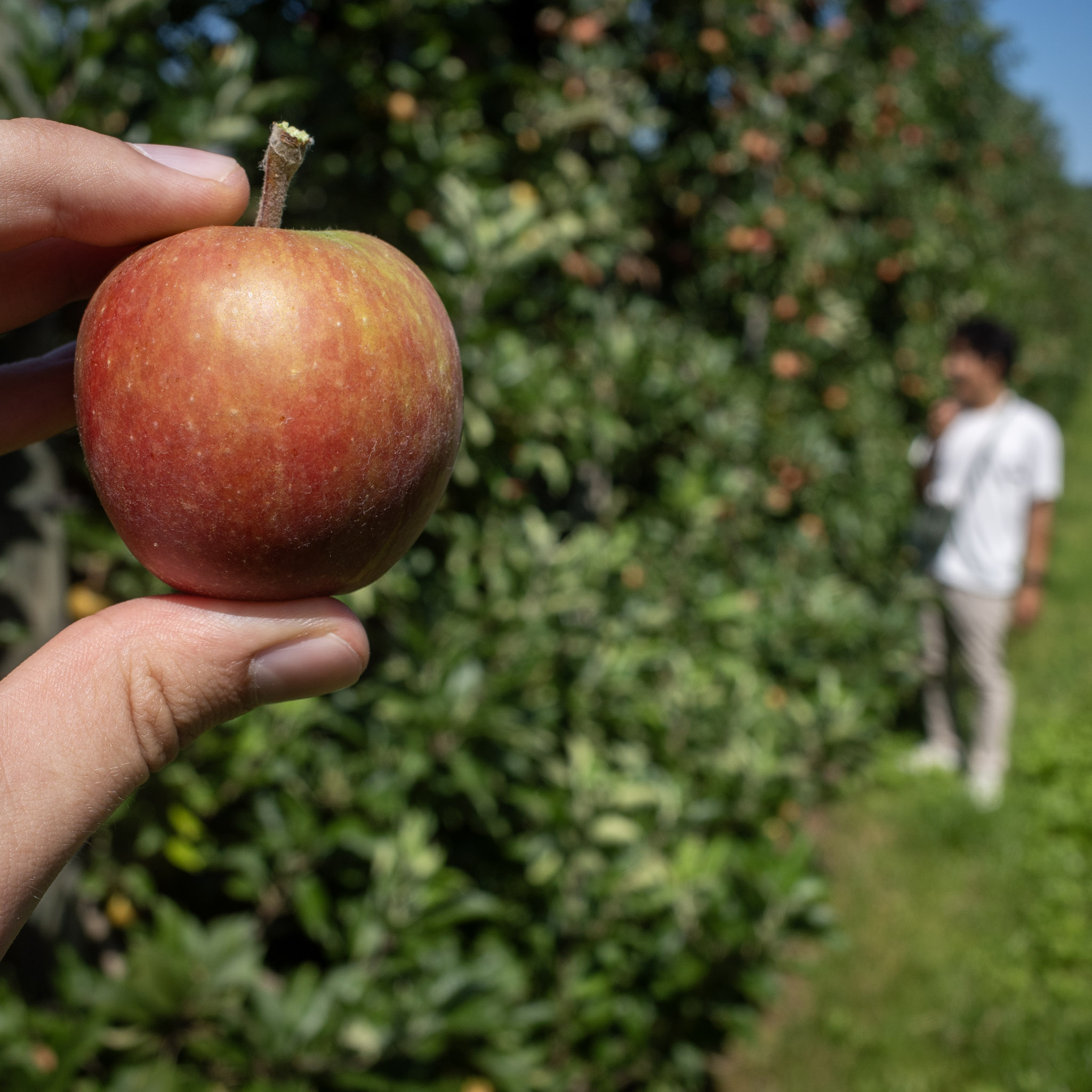 Jul 2024: Hamburg thumbnail 3