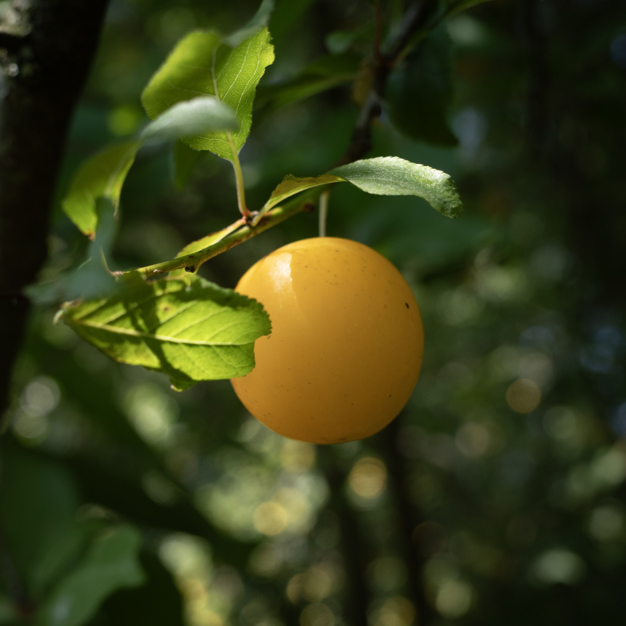 Jul 2024: Hamburg thumbnail 5