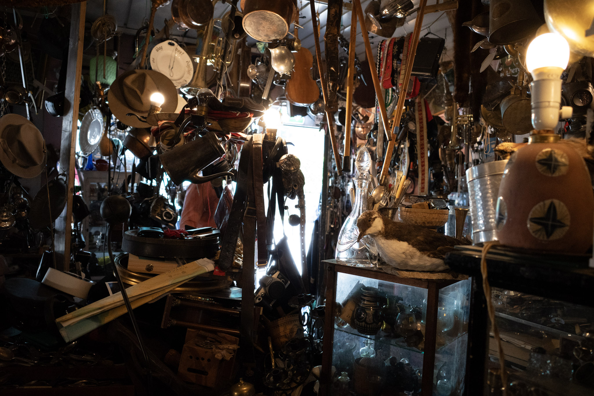 Aug 2024: Bergen thumbnail 6