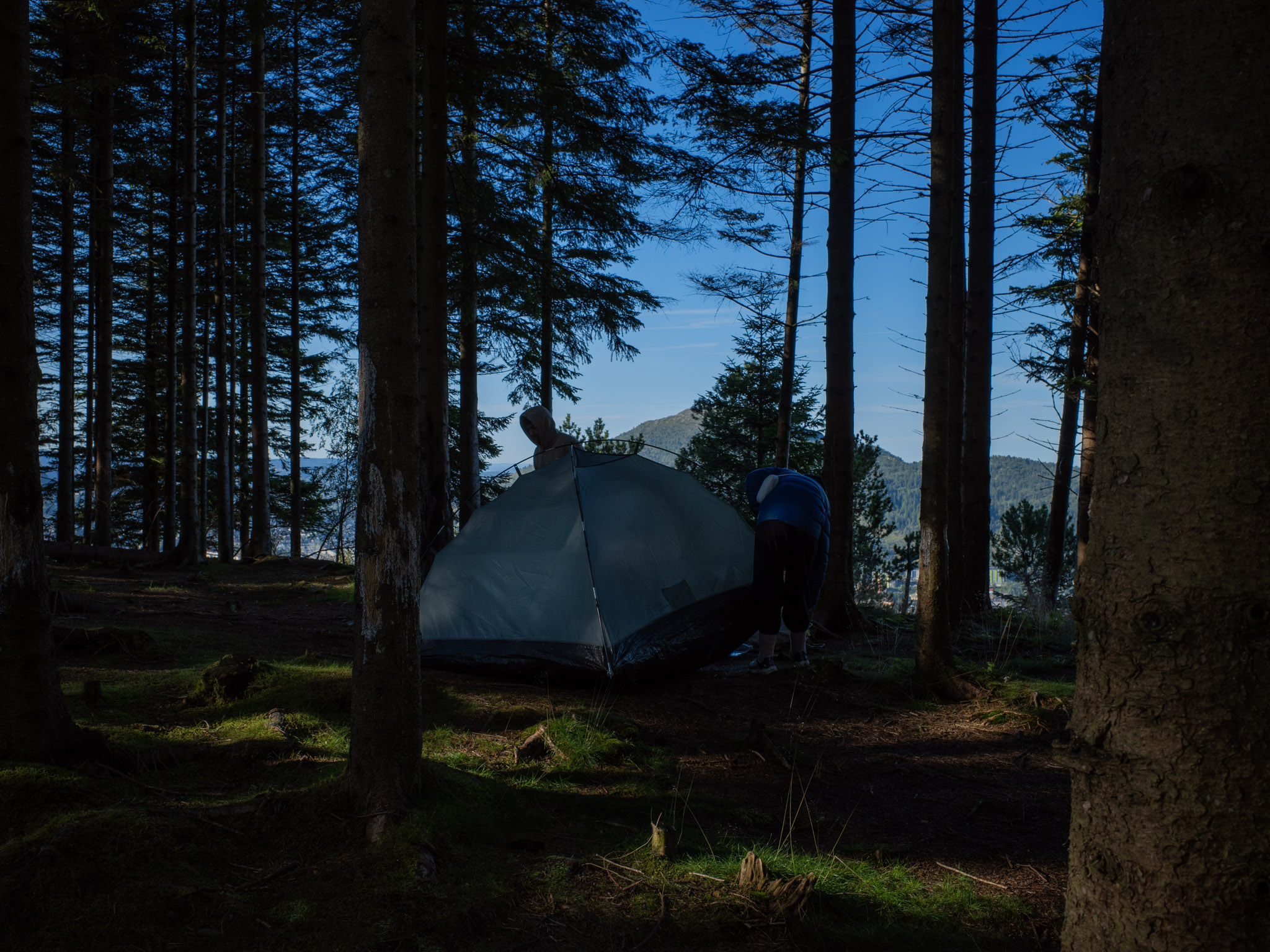 Aug 2024: Bergen thumbnail 4