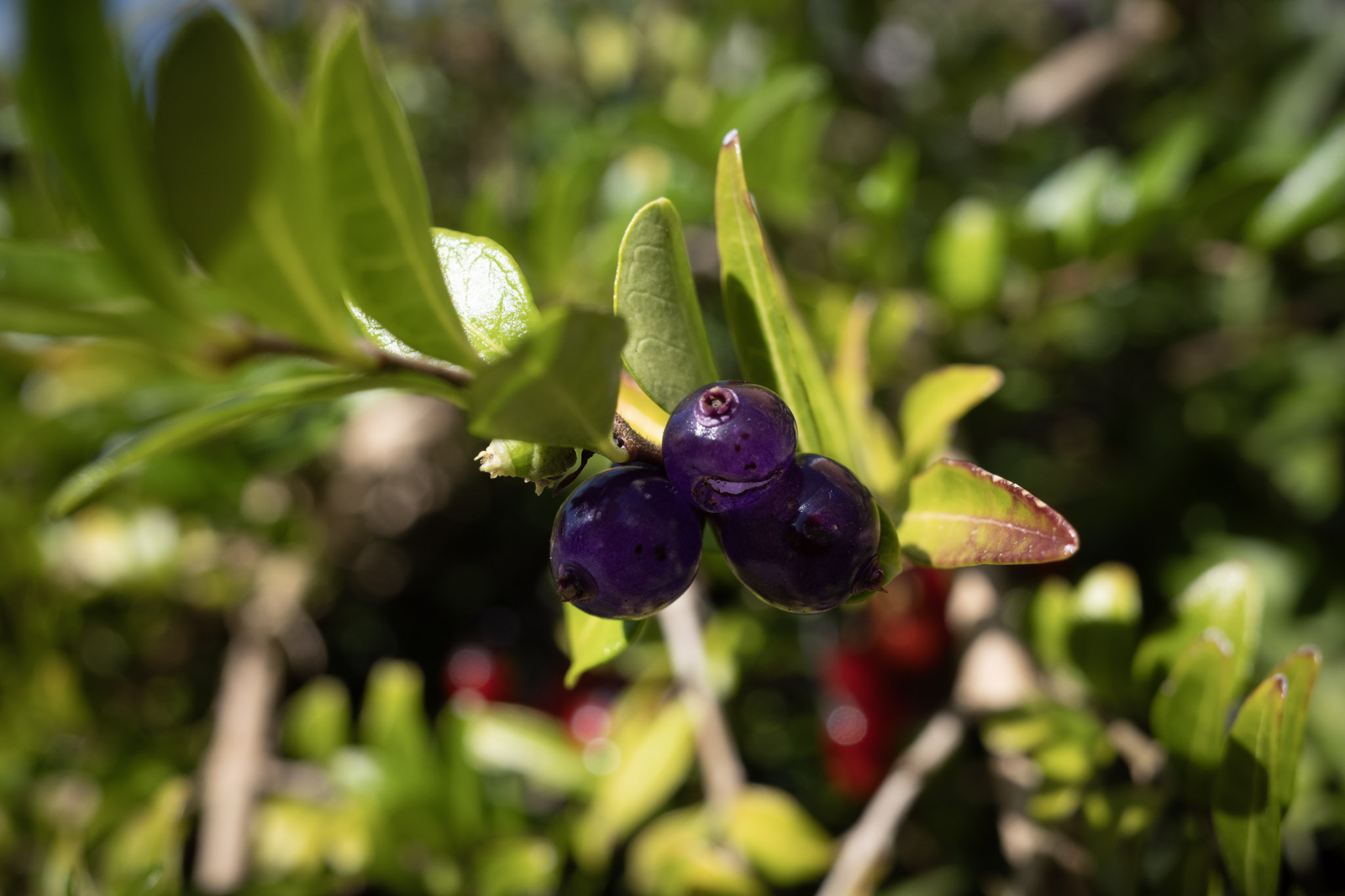 Aug 2024: Bergen thumbnail 9