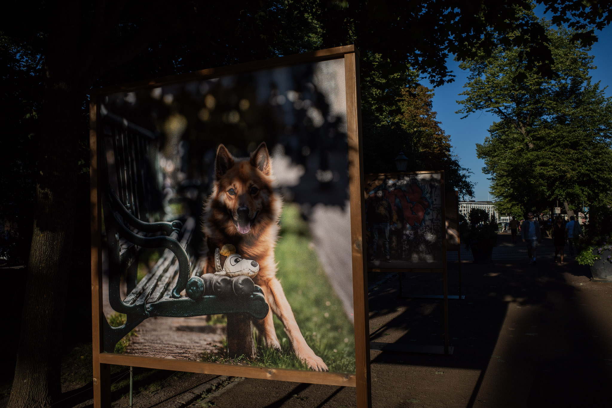 Aug 2024: Helsinki thumbnail 4