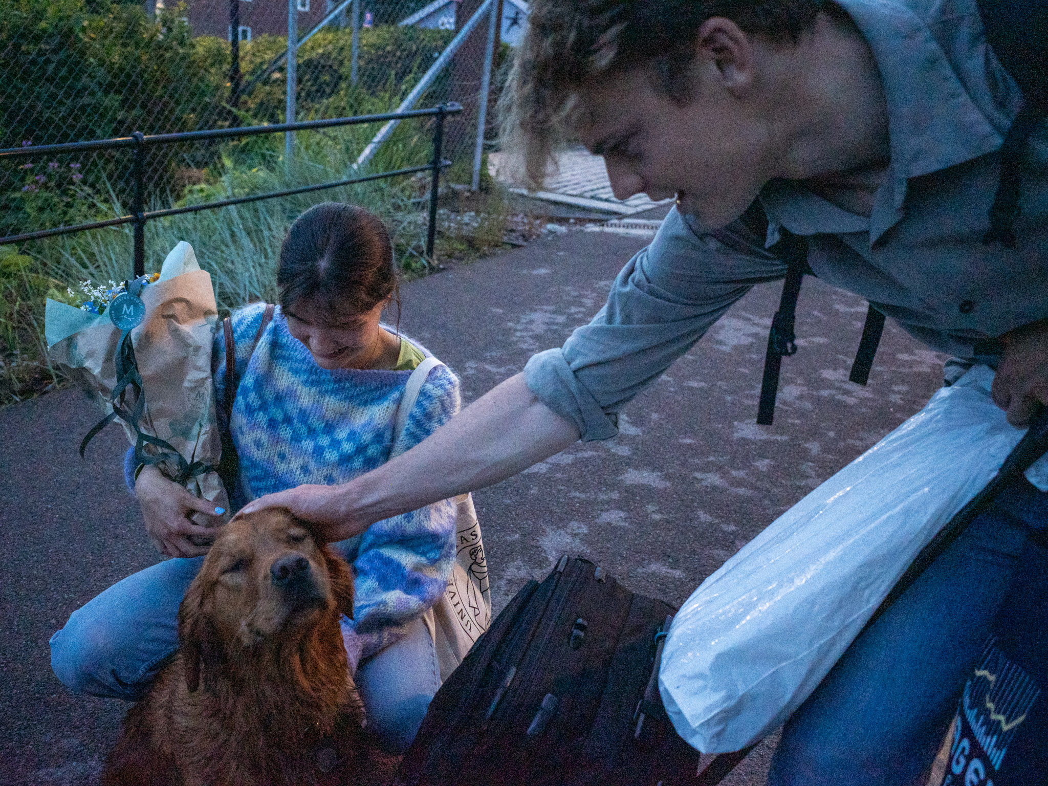 Aug 2024: Oslo thumbnail 3