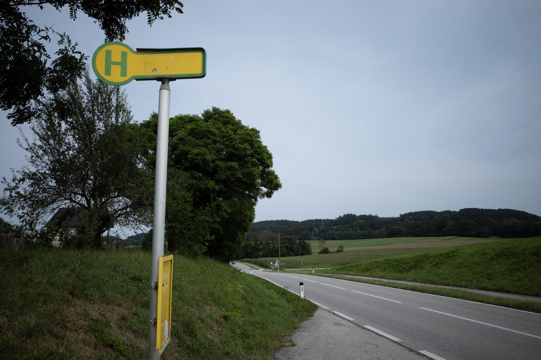 Aug 2024: Salzburg thumbnail 2