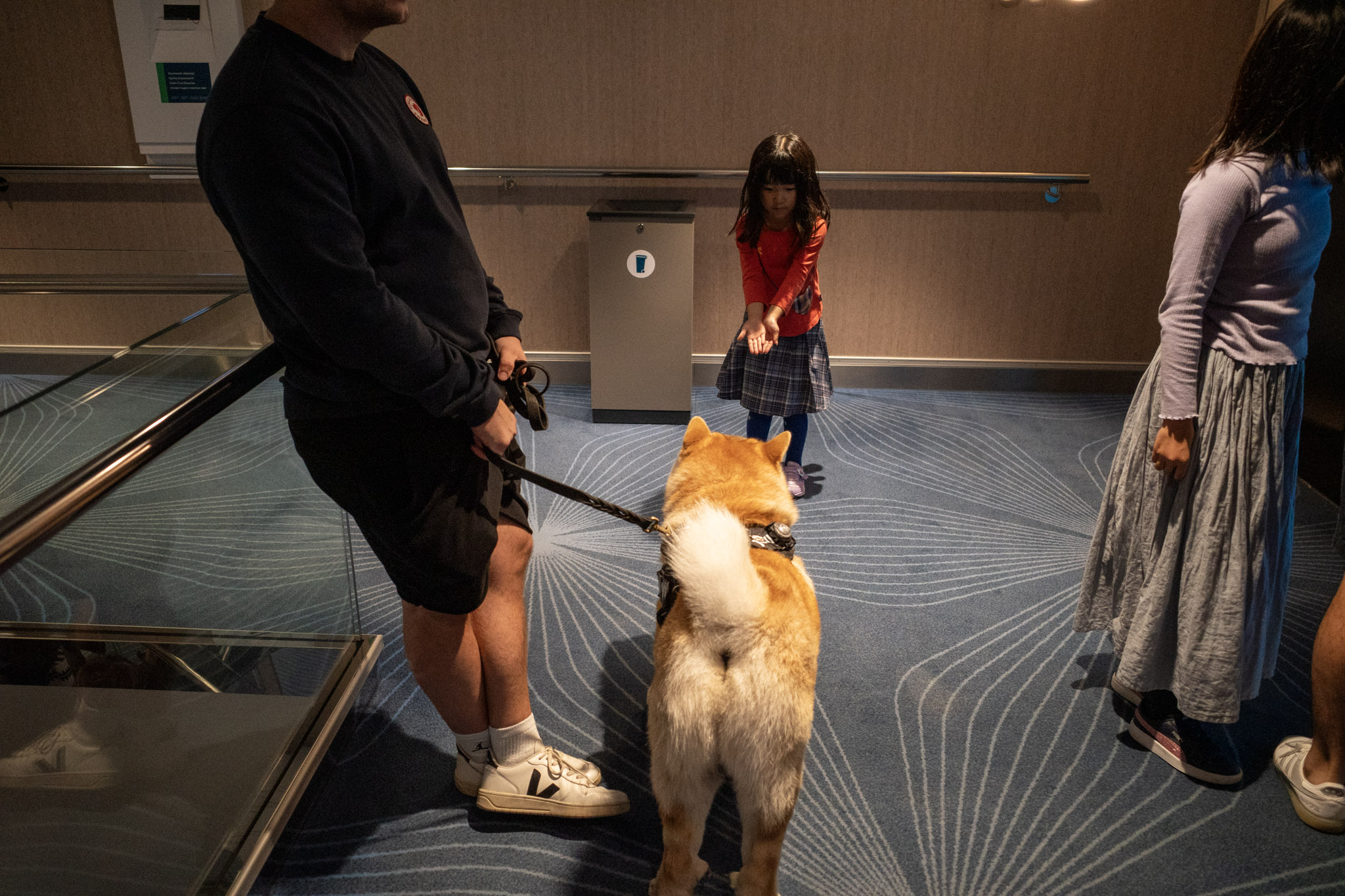 Aug 2024: Tallinn thumbnail 9