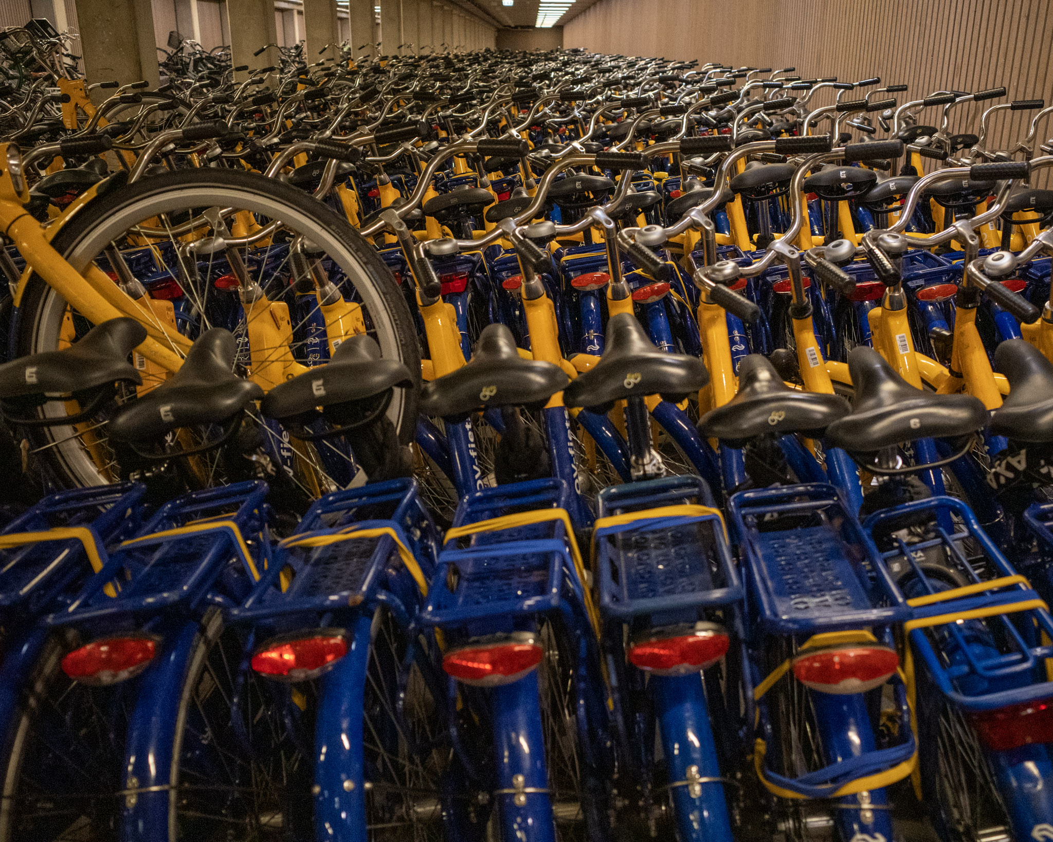 Aug 2024: Utrecht thumbnail 4