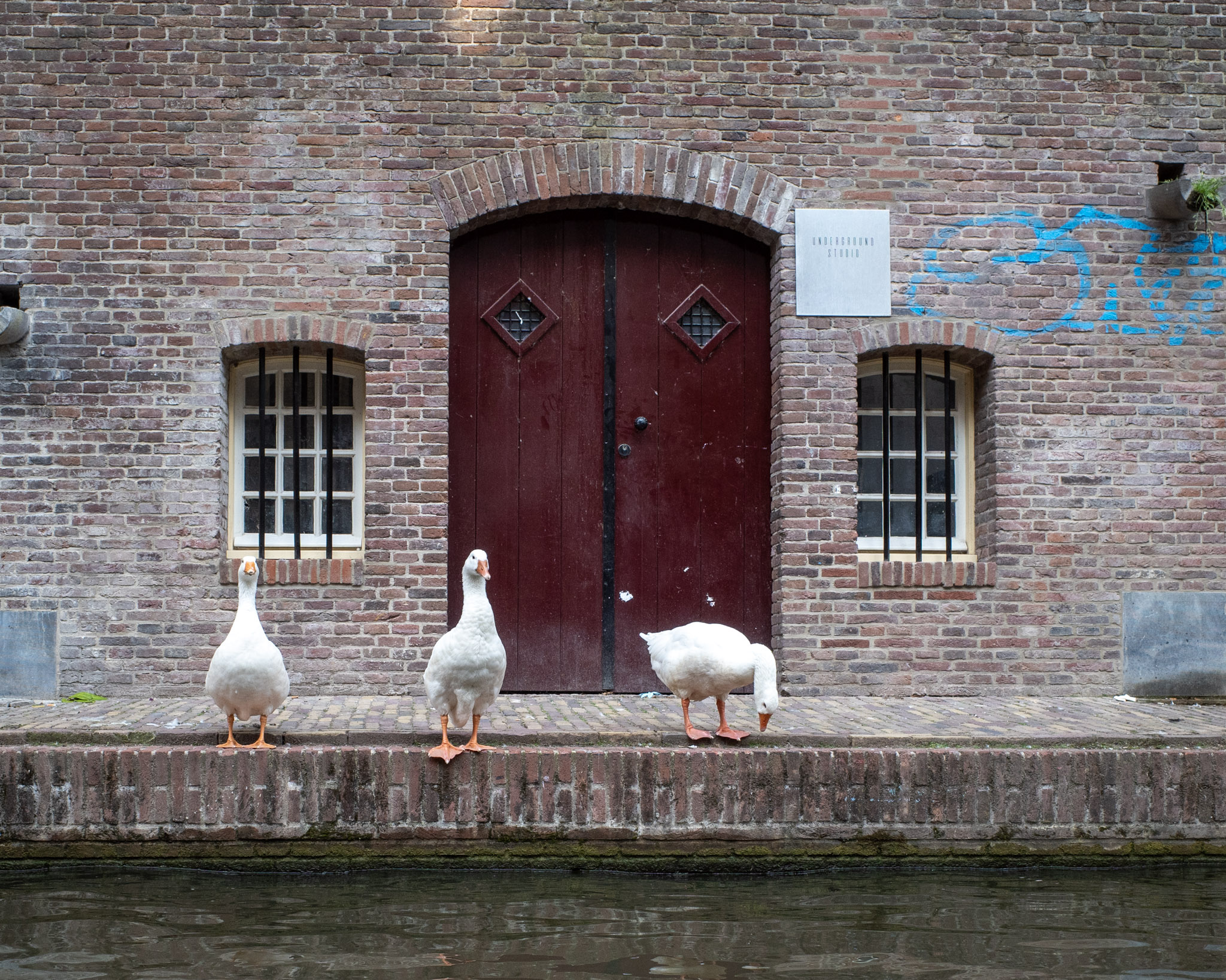 Aug 2024: Utrecht thumbnail 7