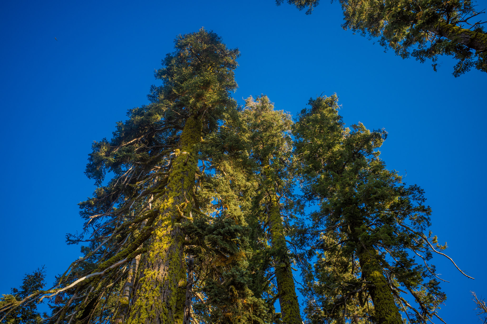 Sep 2024: Berkeley, Tahoe & Yosemite thumbnail 6