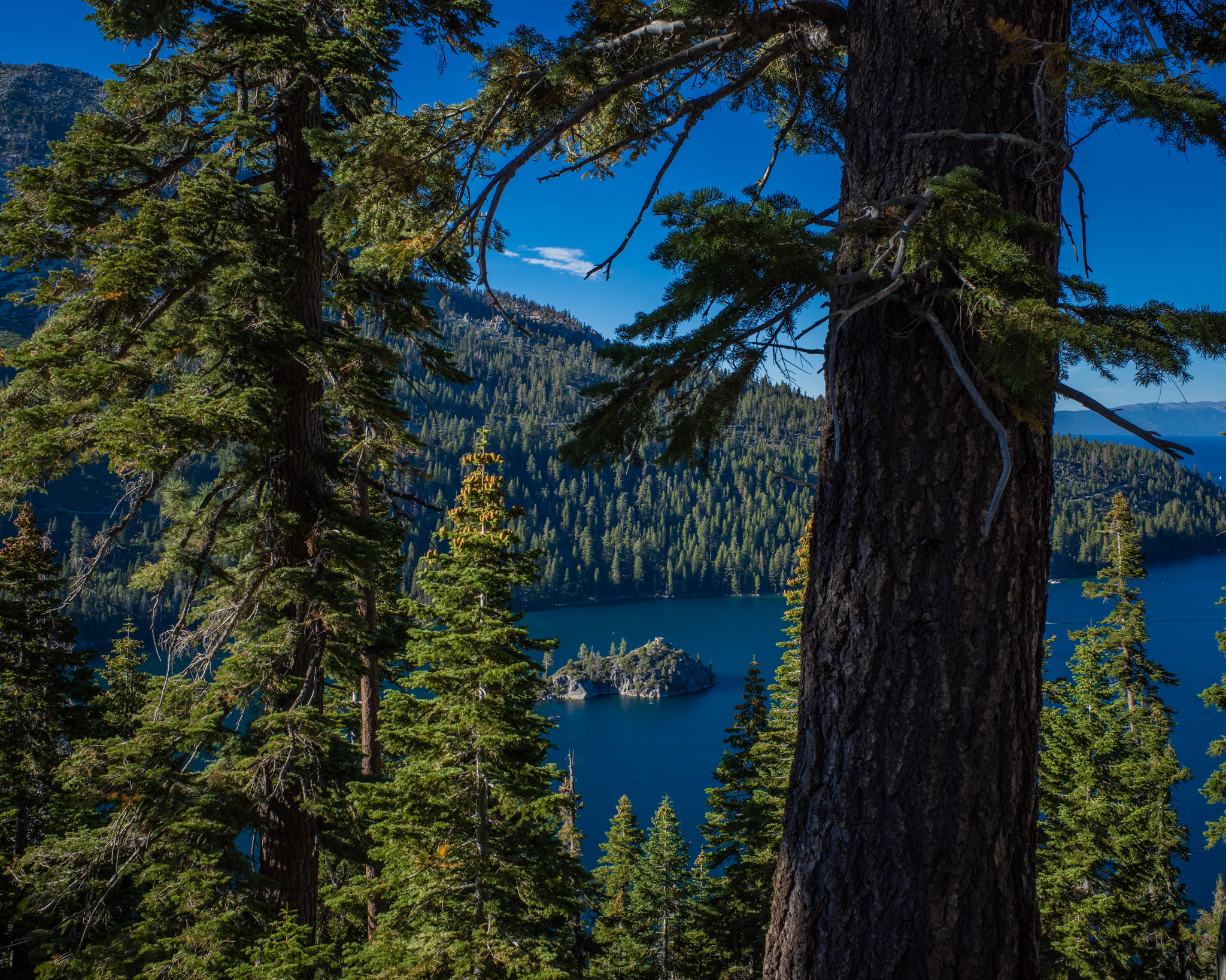 Sep 2024: Berkeley, Tahoe & Yosemite thumbnail 3