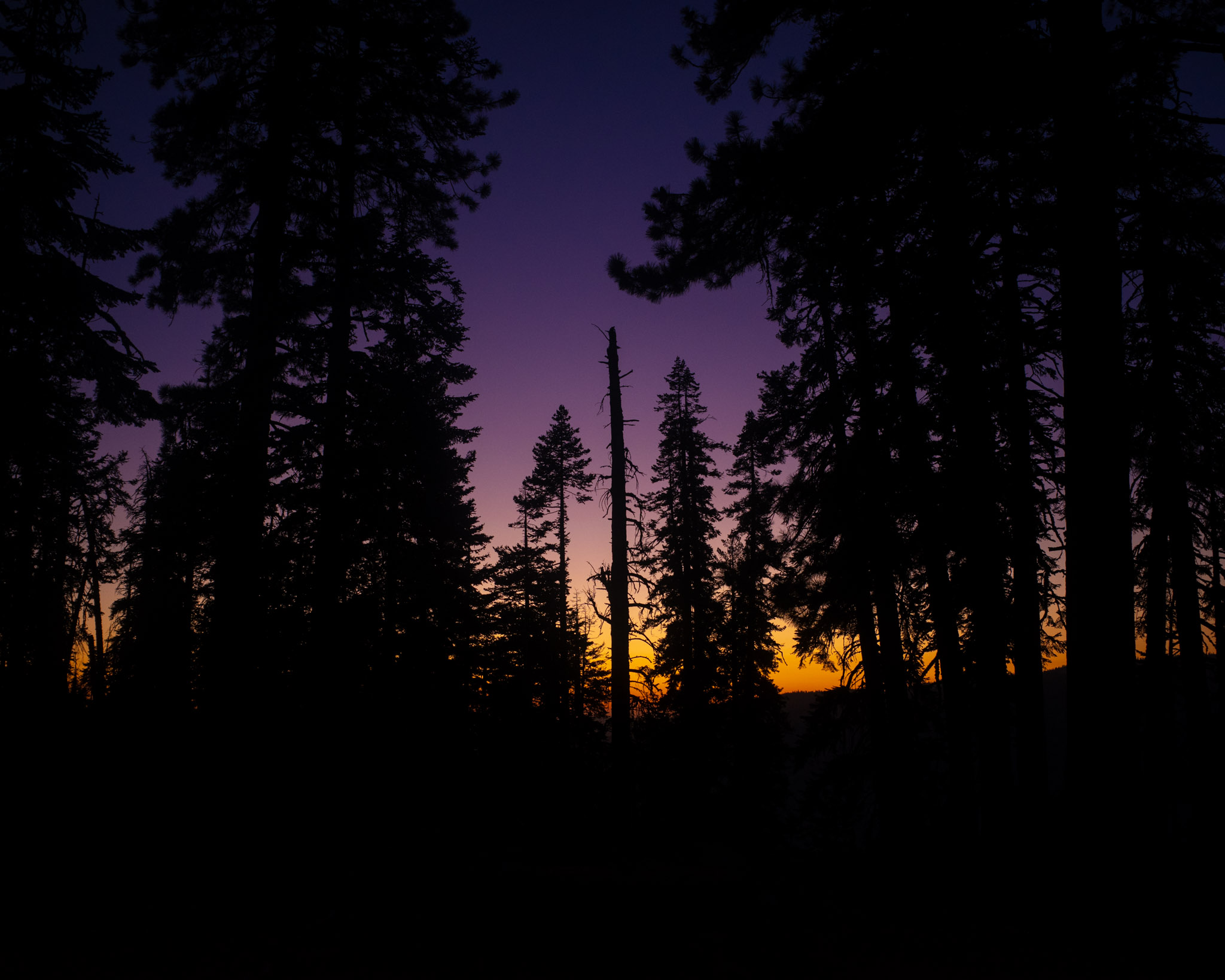 Sep 2024: Berkeley, Tahoe & Yosemite thumbnail 7