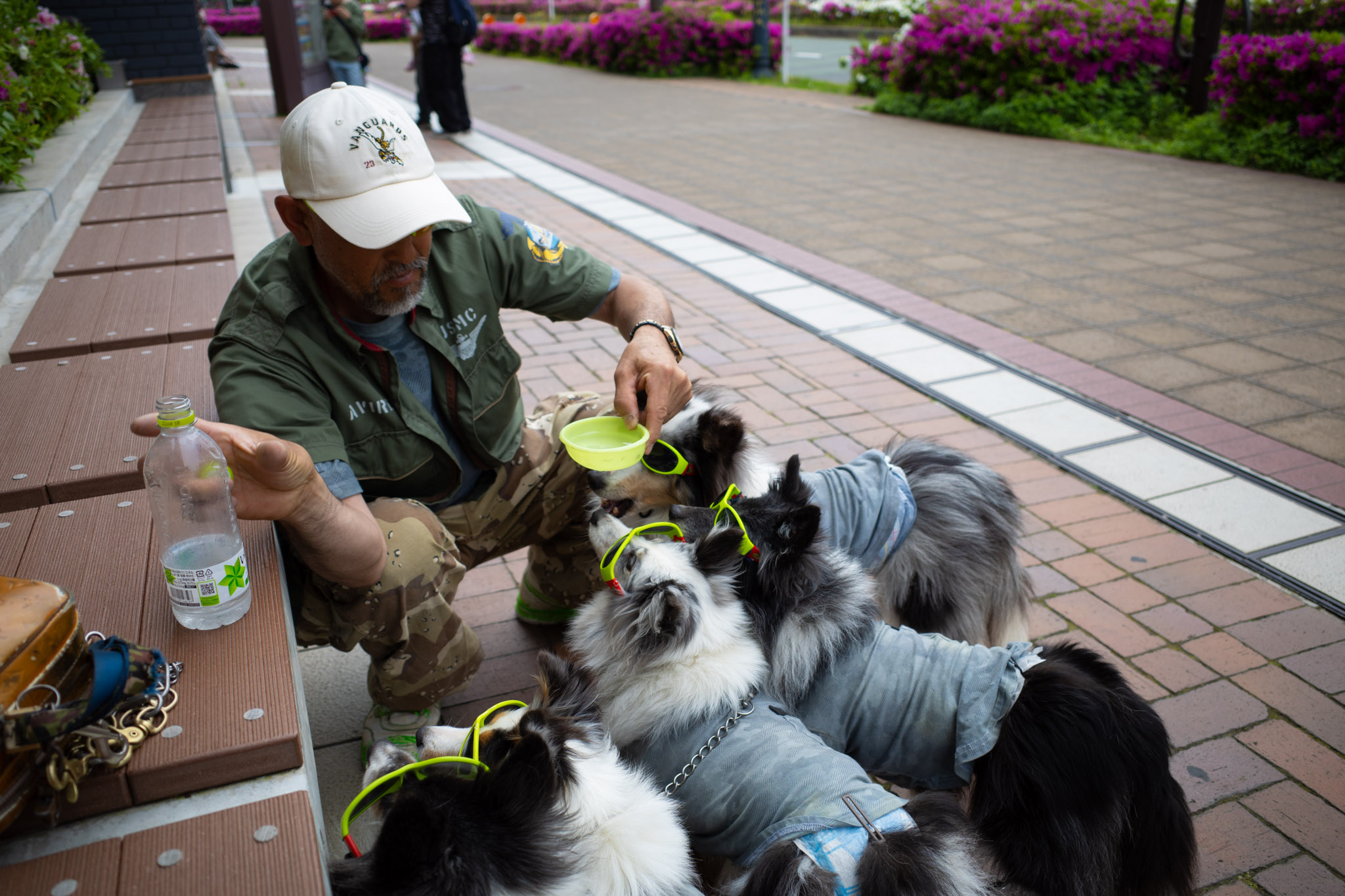 Apr 2025: Yokohama thumbnail 6