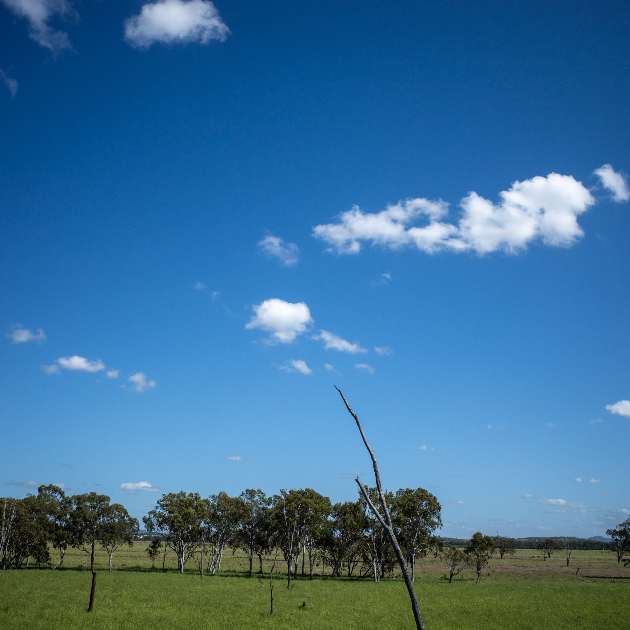May 2025: Brisbane & Cairns thumbnail 4