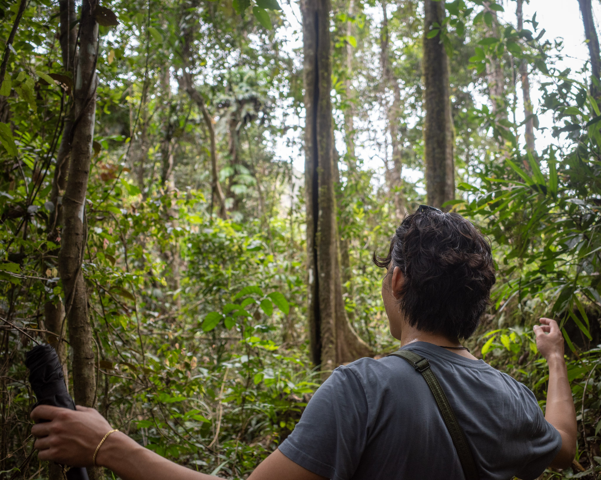 May 2025: Brisbane & Cairns thumbnail 6