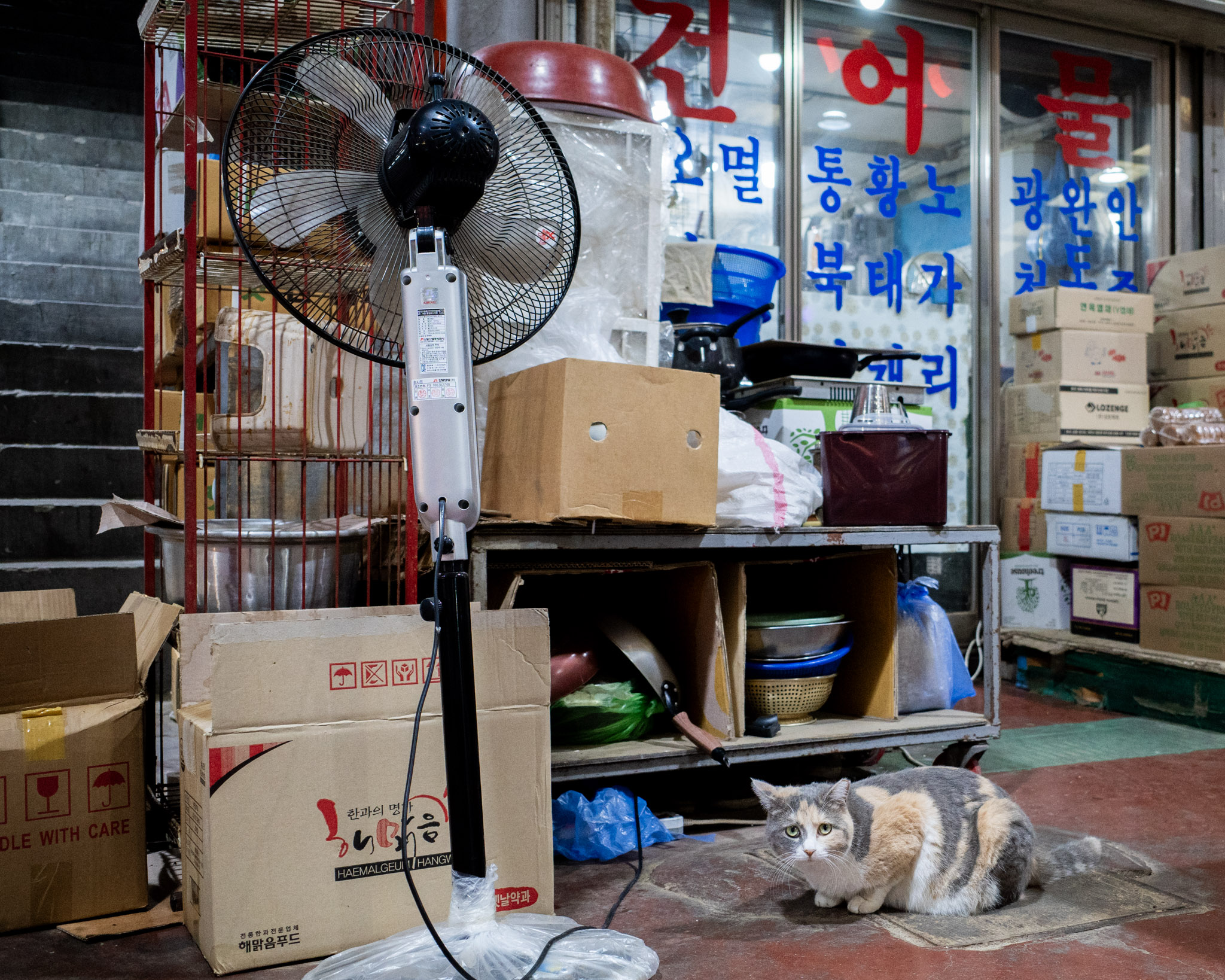 Jul 2025: Seoul thumbnail 4