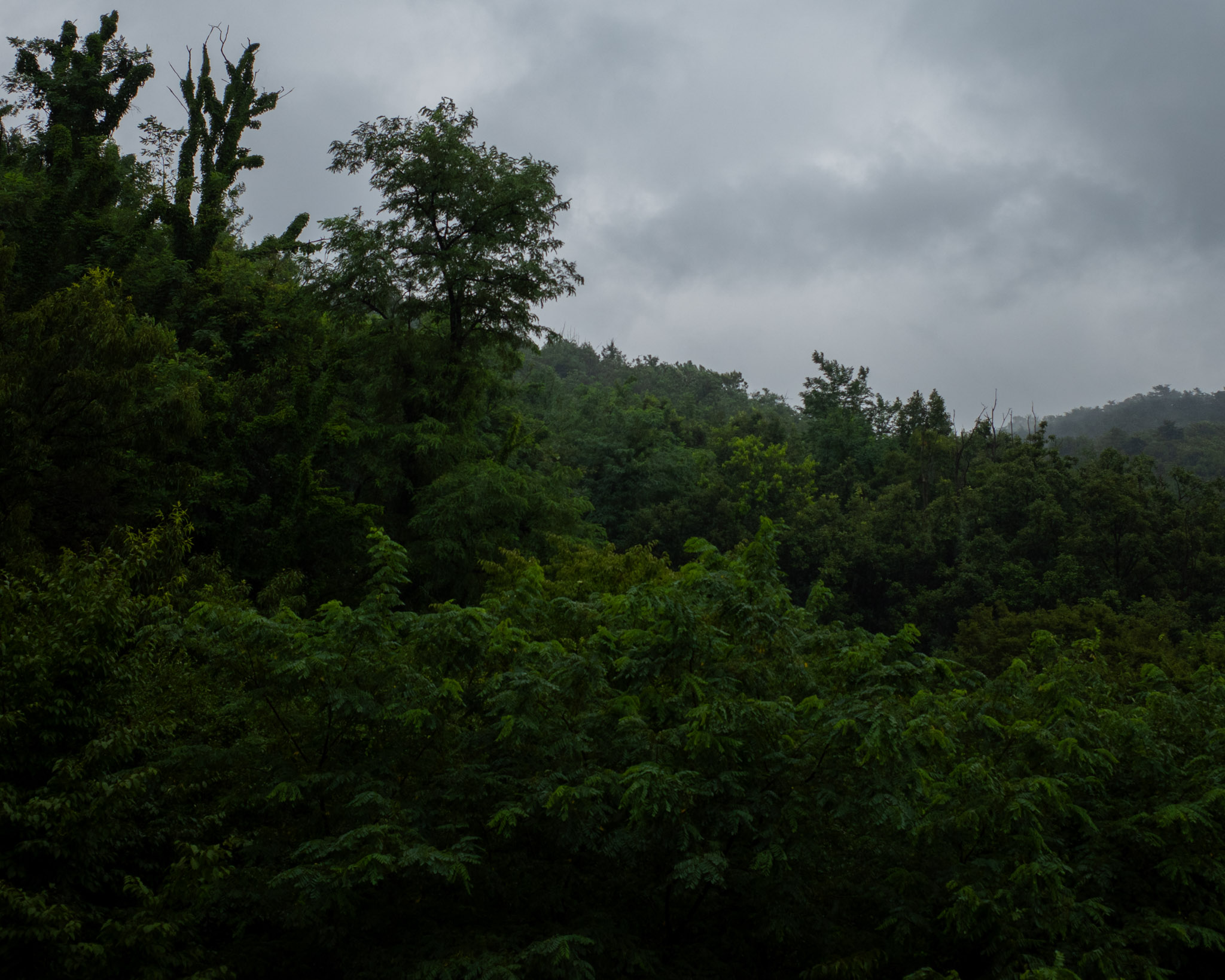 Jul 2025: Seoul thumbnail 15