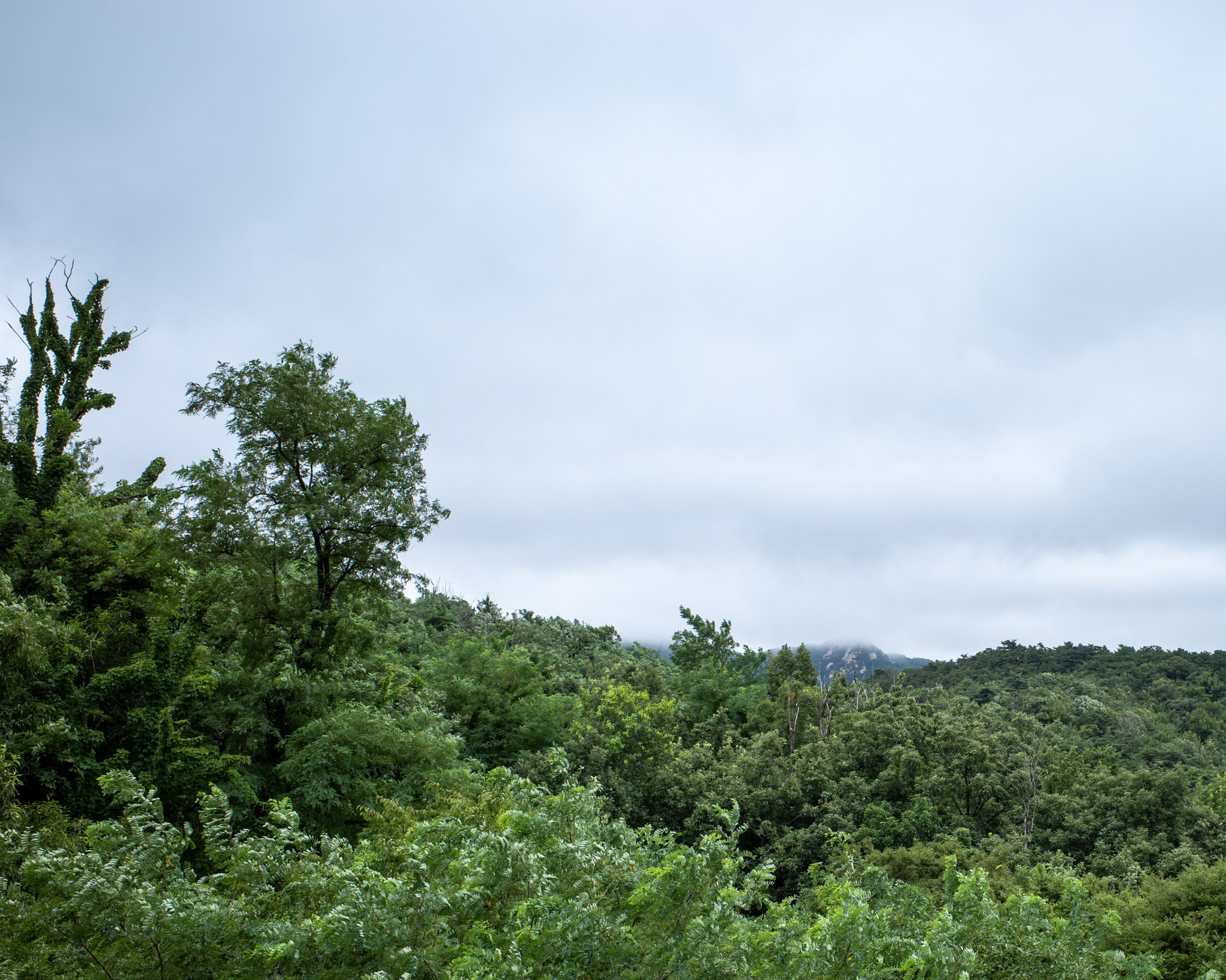 Jul 2025: Seoul thumbnail 14