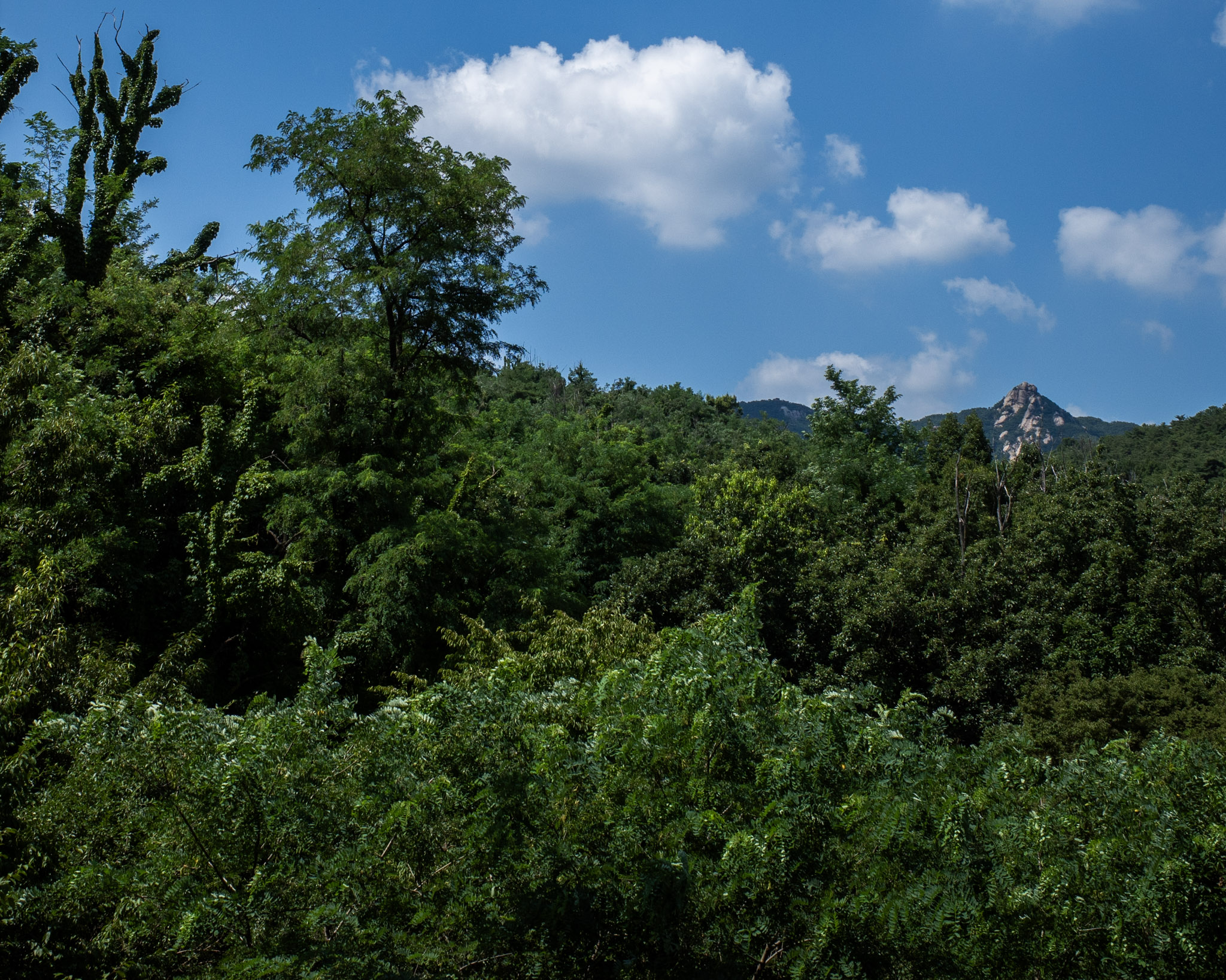 Jul 2025: Seoul thumbnail 16