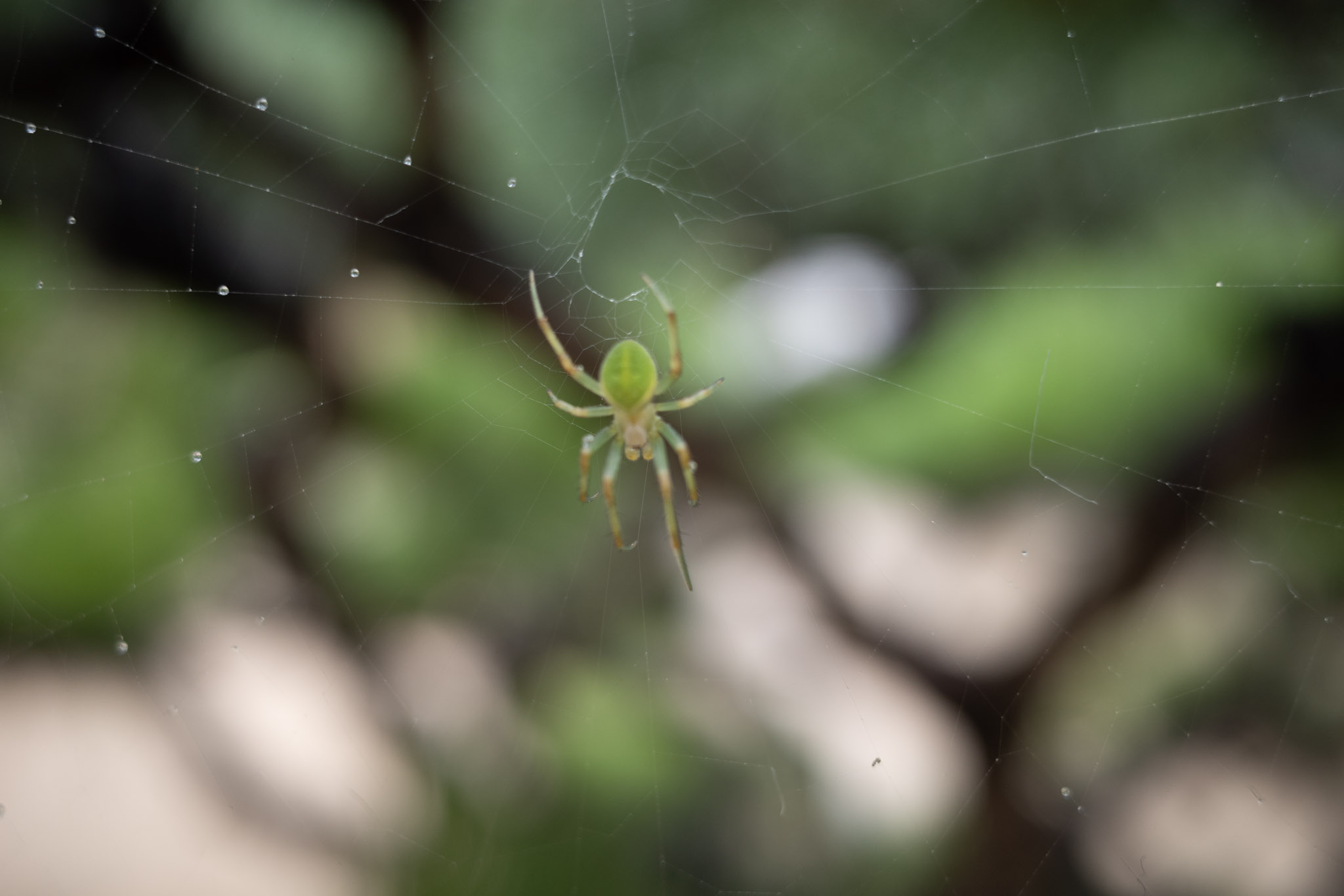 Jul 2025: Seoul thumbnail 13