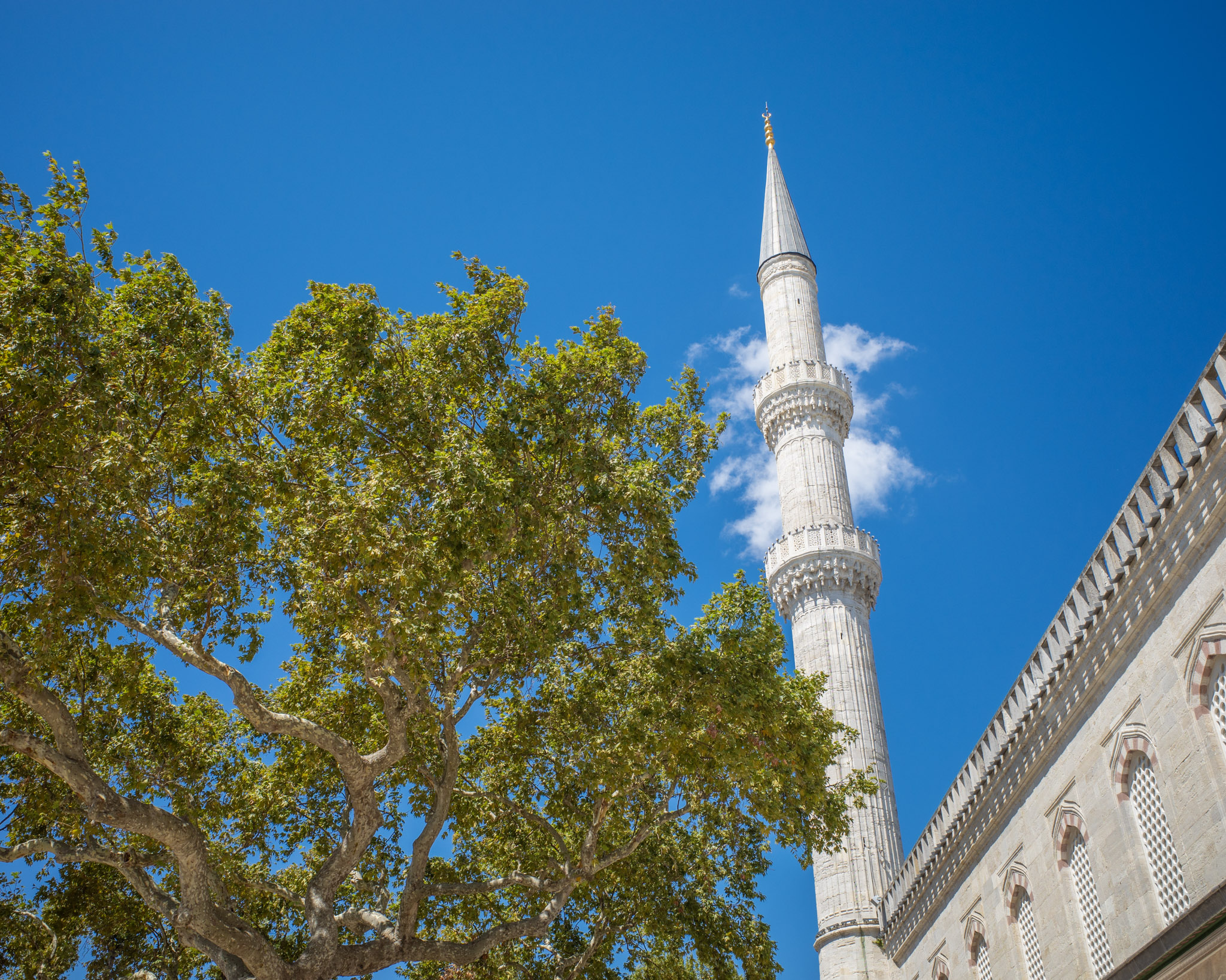 Aug 2025: Istanbul thumbnail 1