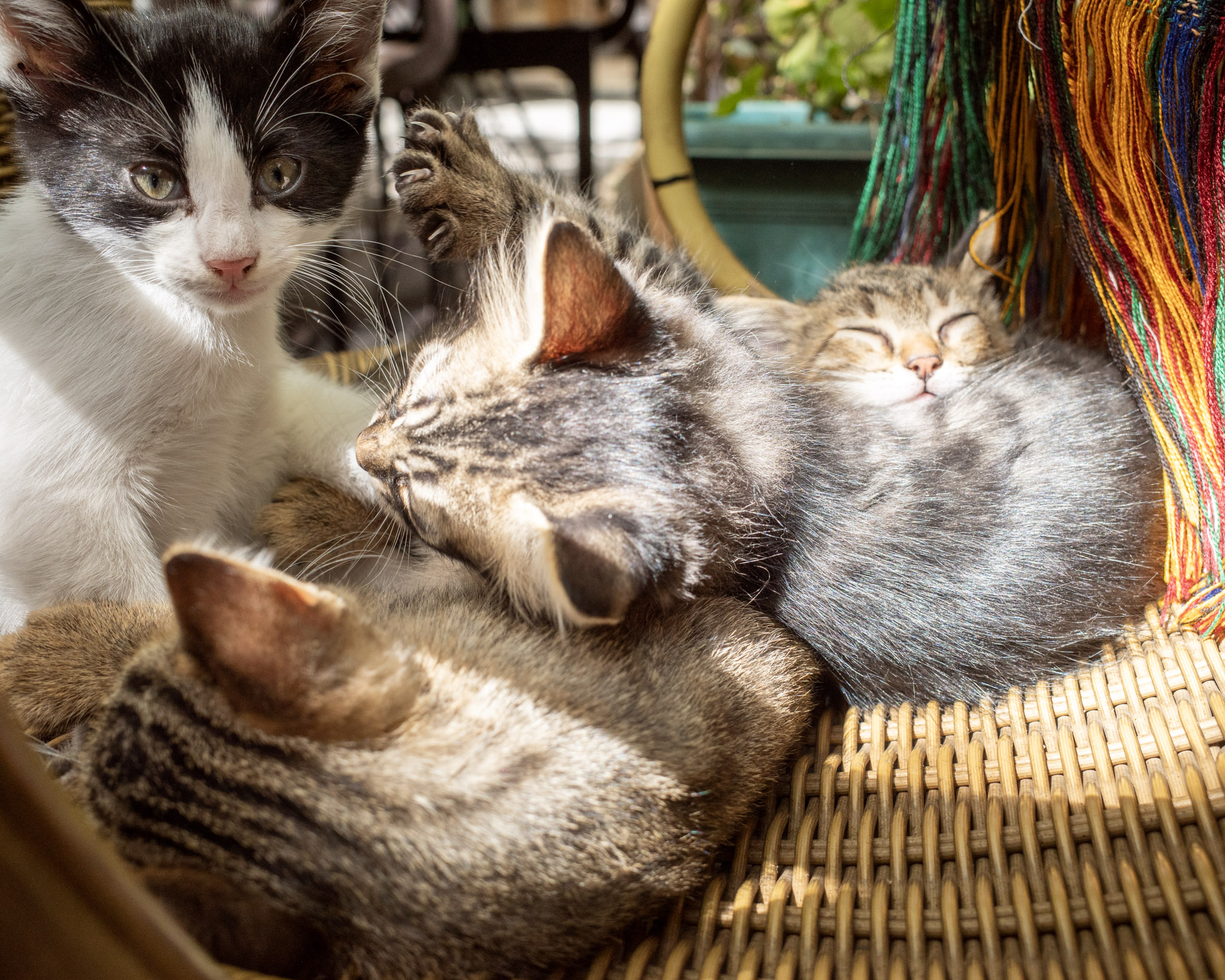 Aug 2025: Istanbul thumbnail 3