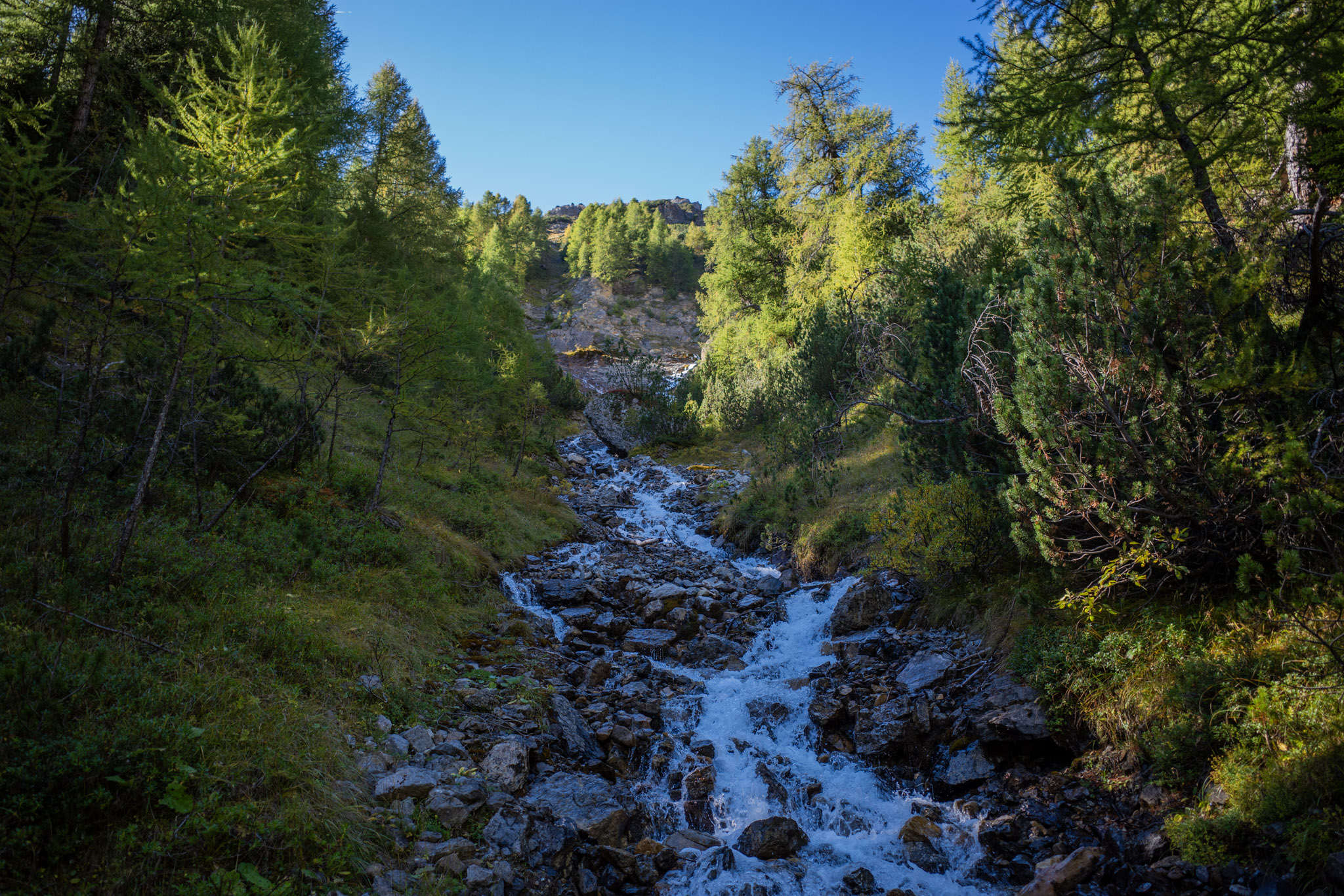 Sep 2025: Davos thumbnail 1