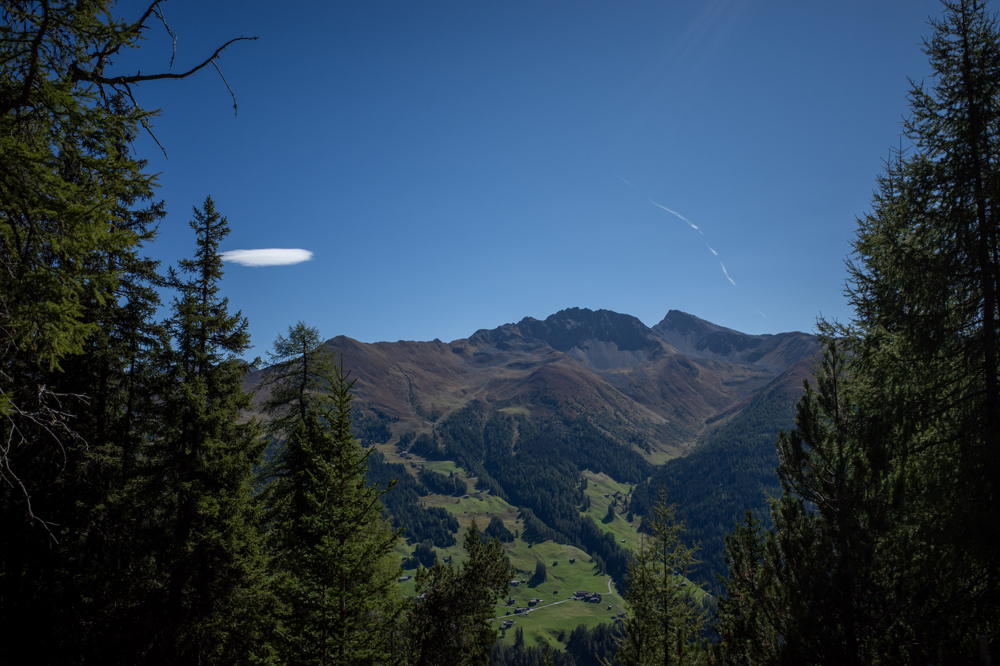 Sep 2025: Davos thumbnail 2